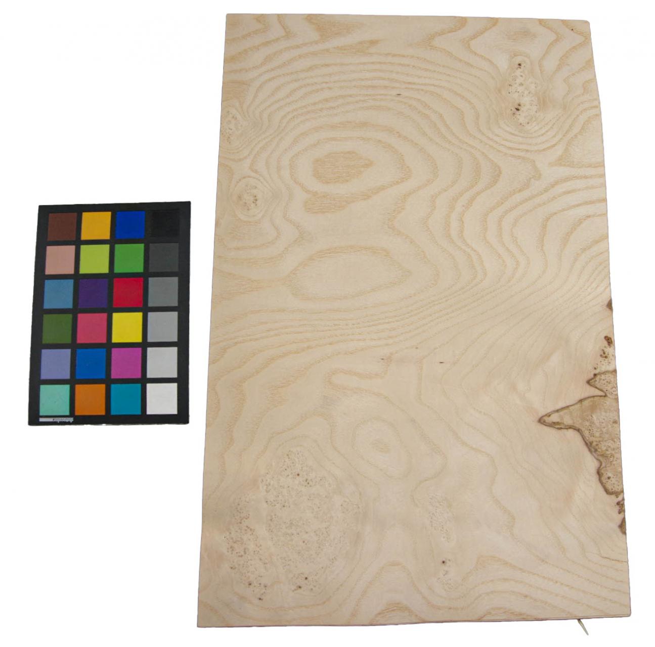 White Ash Burl, - veneer (0,6mm) - 1,98m² (11pcs. x 34cm x 53cm)
