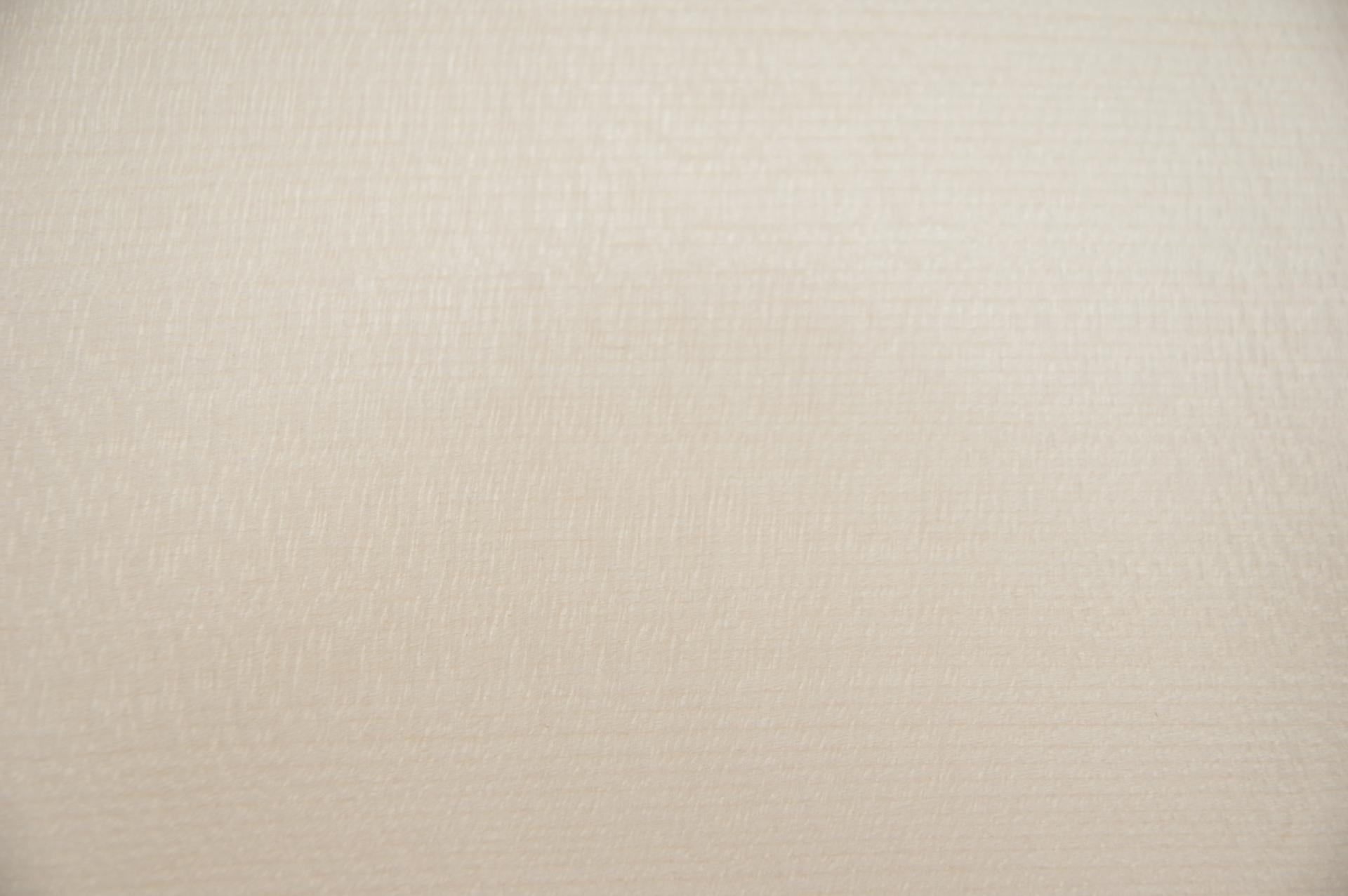 Ahorn, europäischer -Furnier (0,6mm) - 1,77m² (32Stk. x 46cm x 12cm)