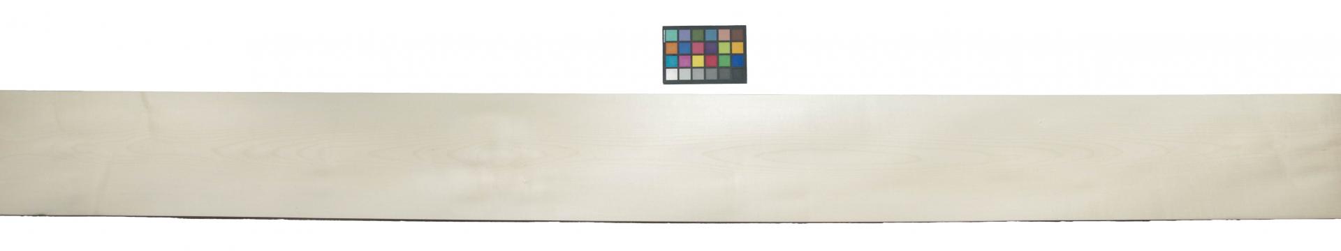Sycamore, - veneer (0,6mm) - 30,9m² (32pcs. x 333cm x 29cm)