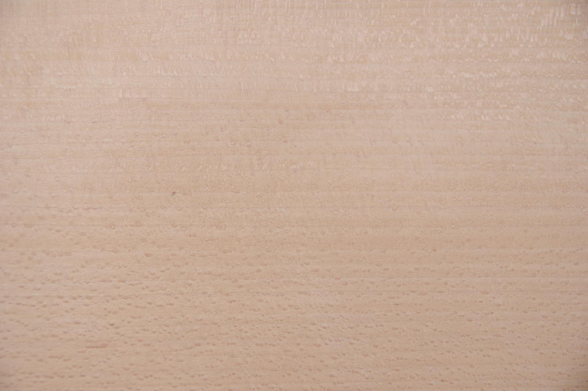 Buche -Furnier (0,6mm) - 3,22m² (20Stk. x 115cm x 14cm)