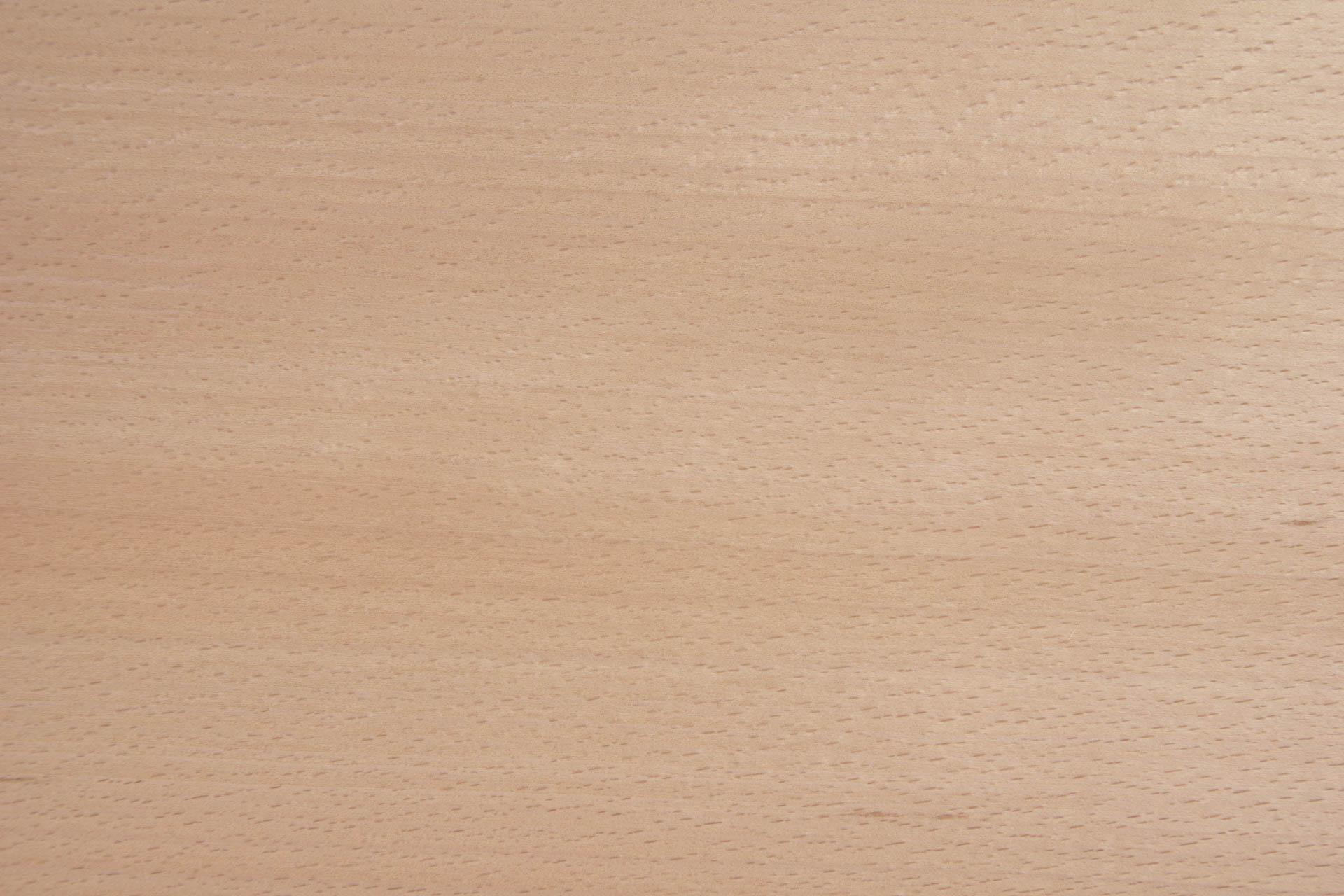 Beech, veneer