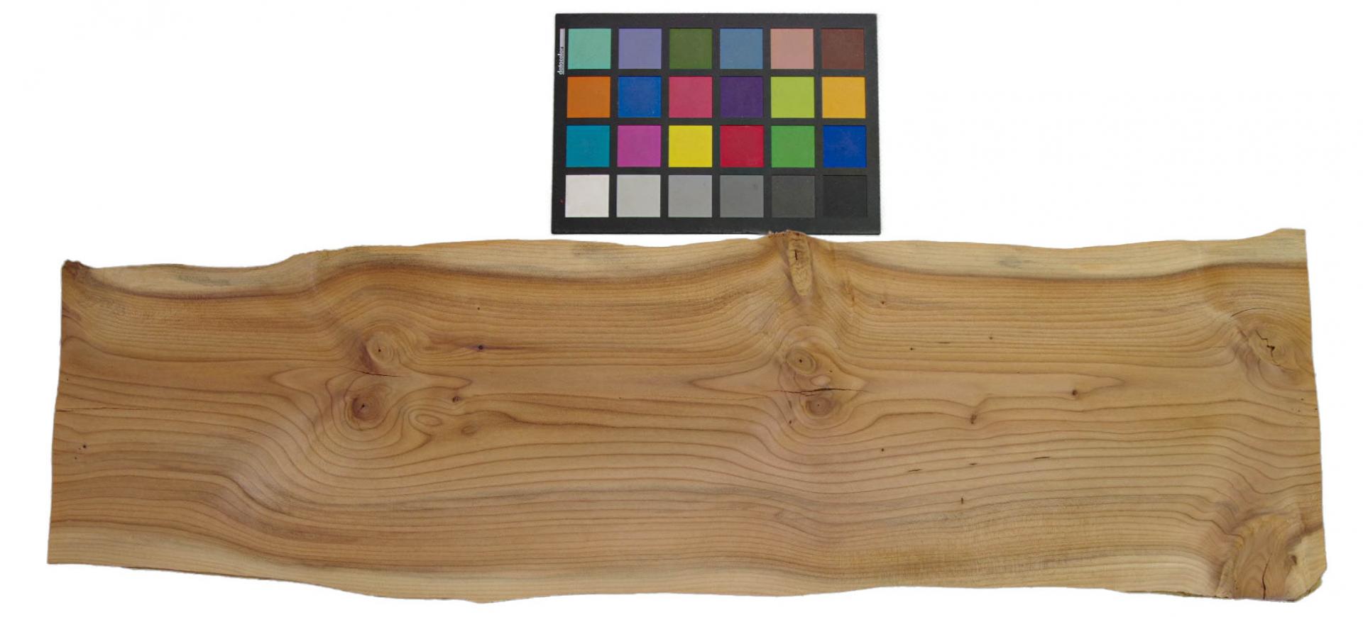 Yewtree, veneer with Colour reference card