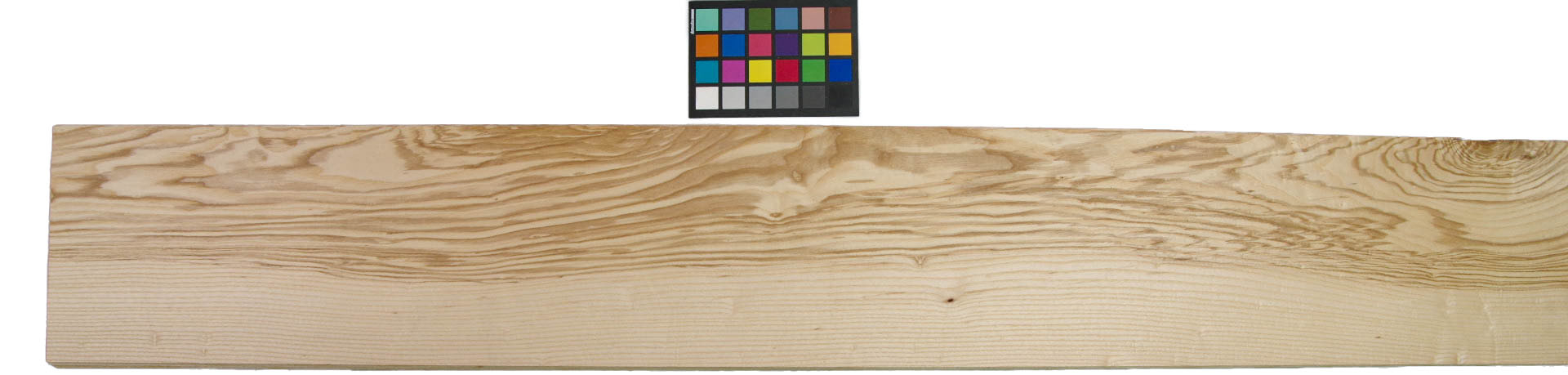 Olive Ash, veneer with Colour reference card