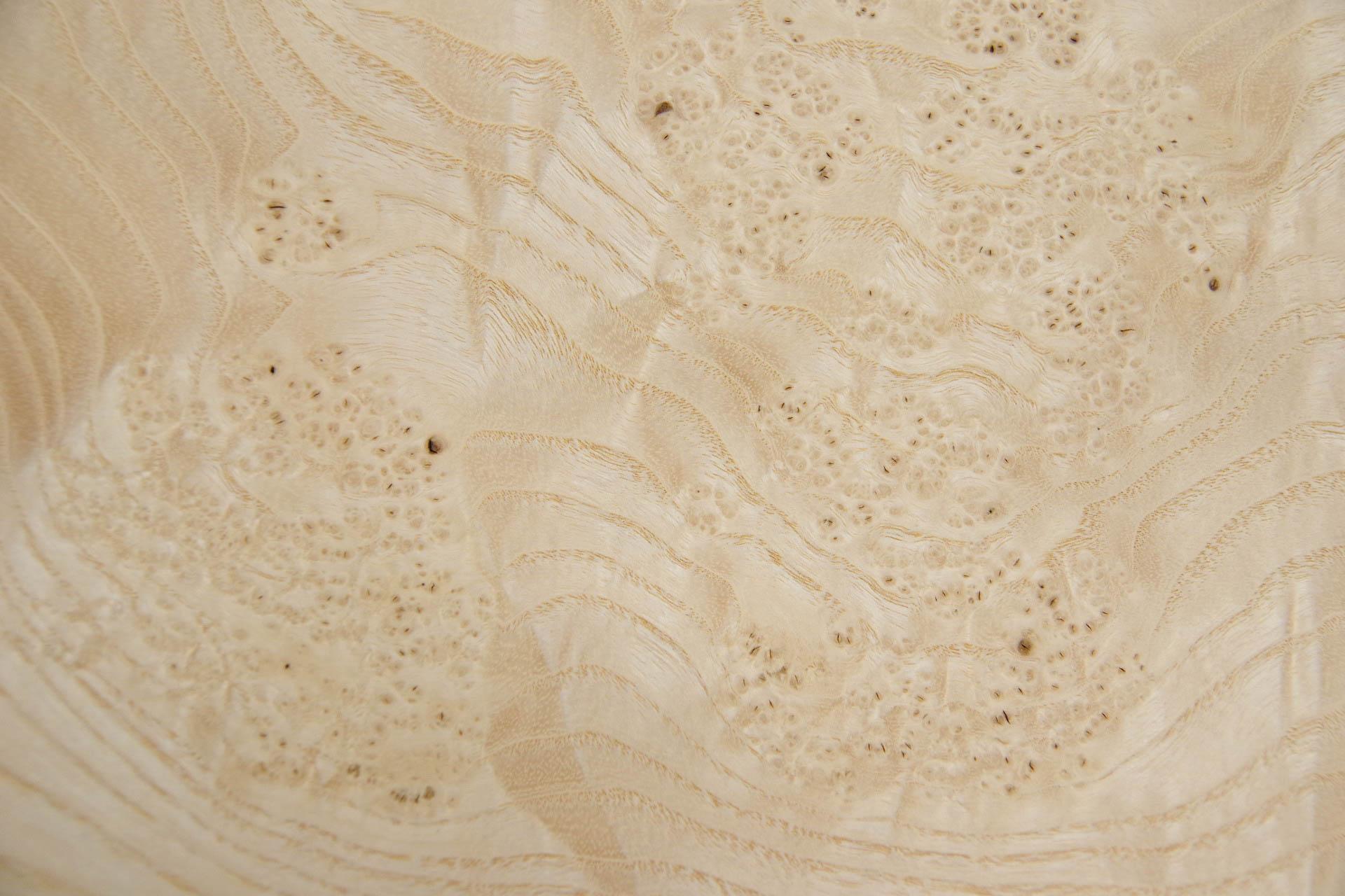 Esche Maser, weiß -Furnier (0,6mm) - 0,81m² (11Stk. x 35cm x 21cm)