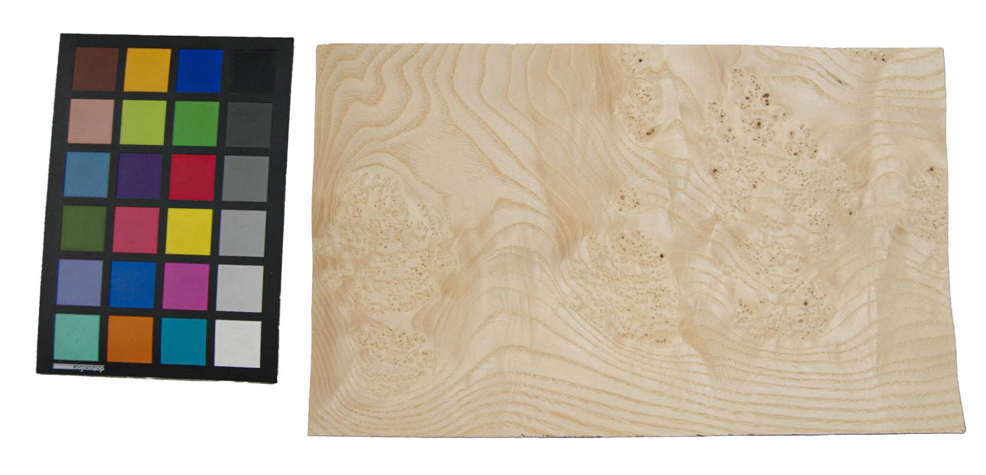 Esche Maser, weiß -Furnier (0,6mm) - 0,81m² (11Stk. x 35cm x 21cm)