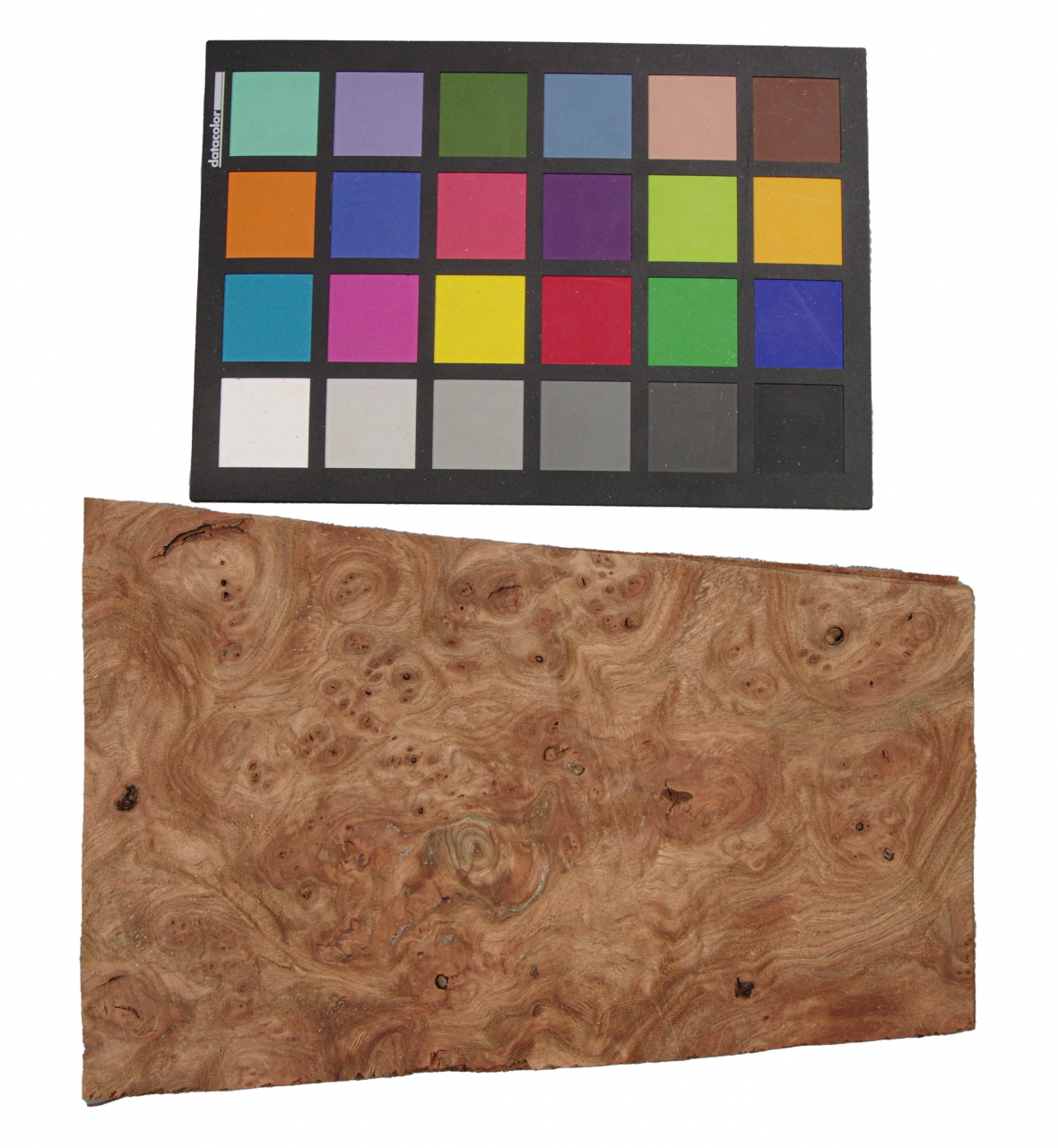 0,6mm Rüster (Ulme) Maser Furnier 0,69m² L 24 24 12