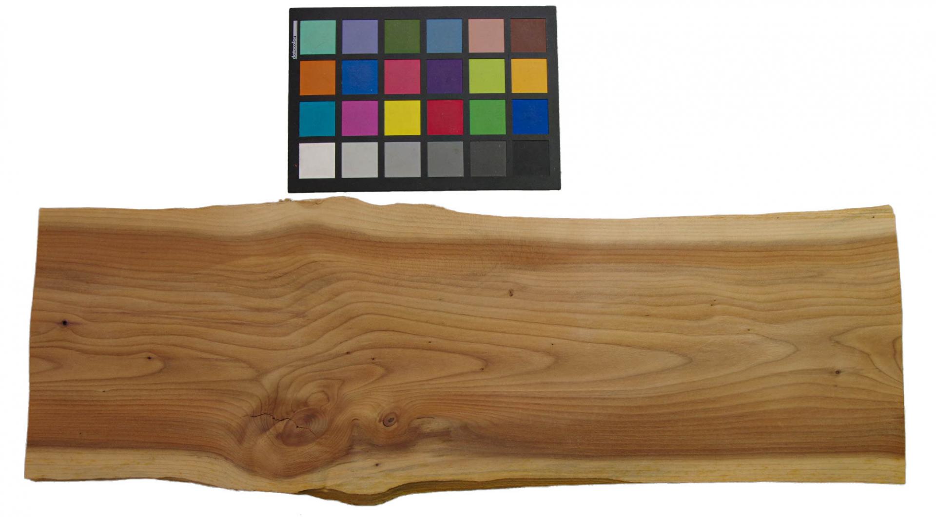 Yewtree, veneer with Colour reference card