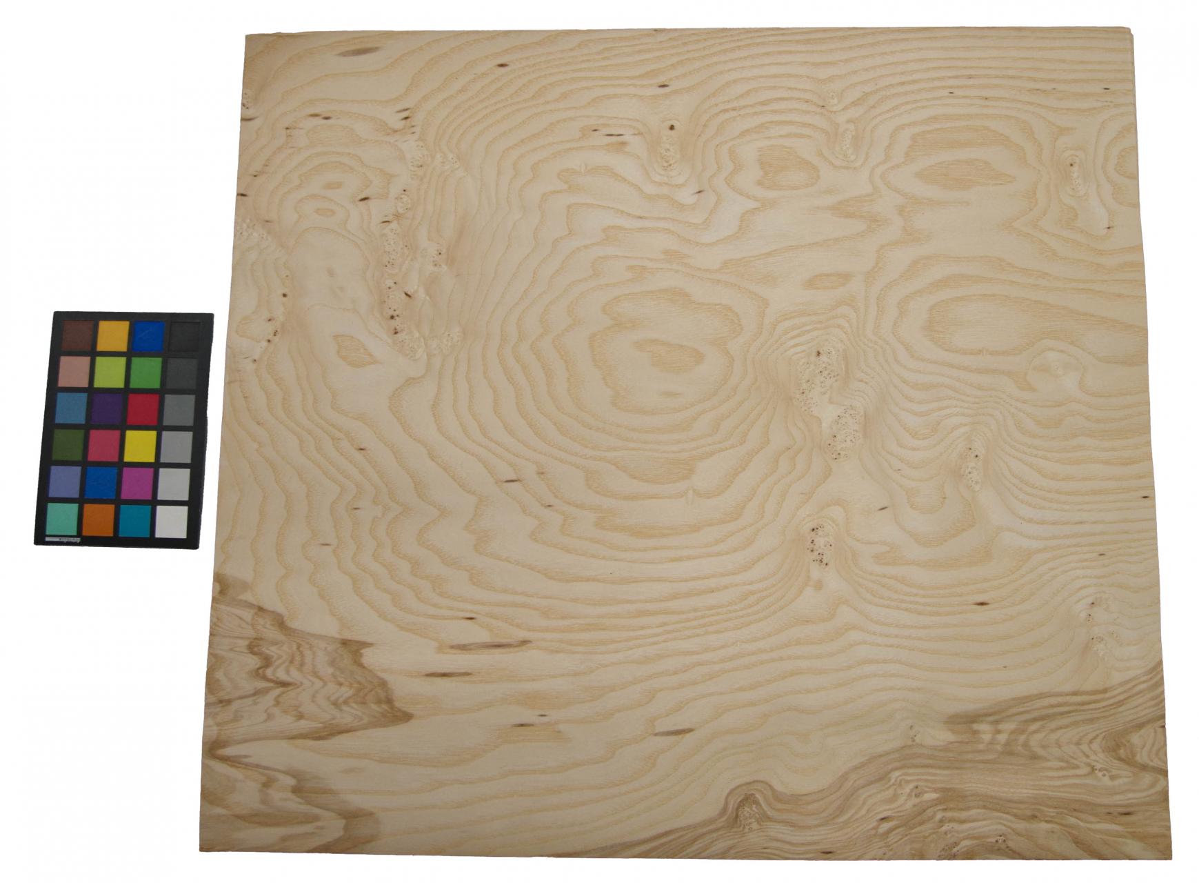 Olive Ash Burl, - veneer (0,6mm) - 5,53m² (11pcs. x 75cm x 67cm)
