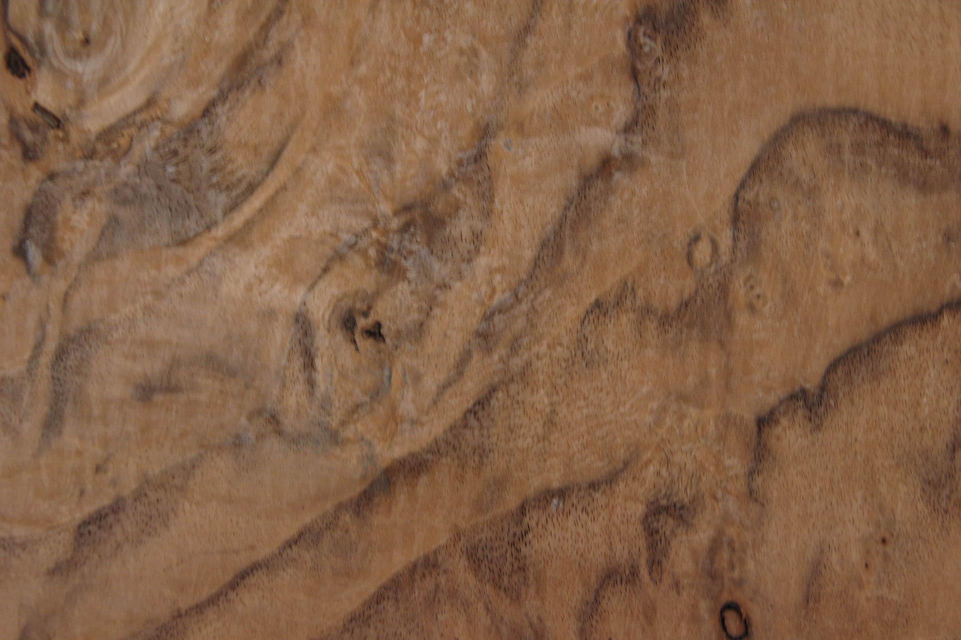 Californian Walnut Burl, - veneer (1,4mm) - 0,52m² (13pcs. x 16cm x 25cm)