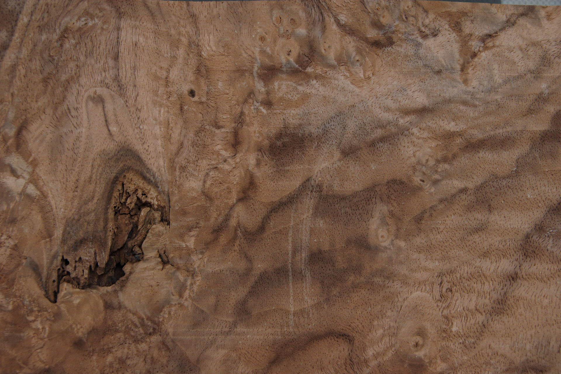 Californian Walnut Burl, - veneer (1,8mm) - 0,26m² (6pcs. x 16cm x 27cm)