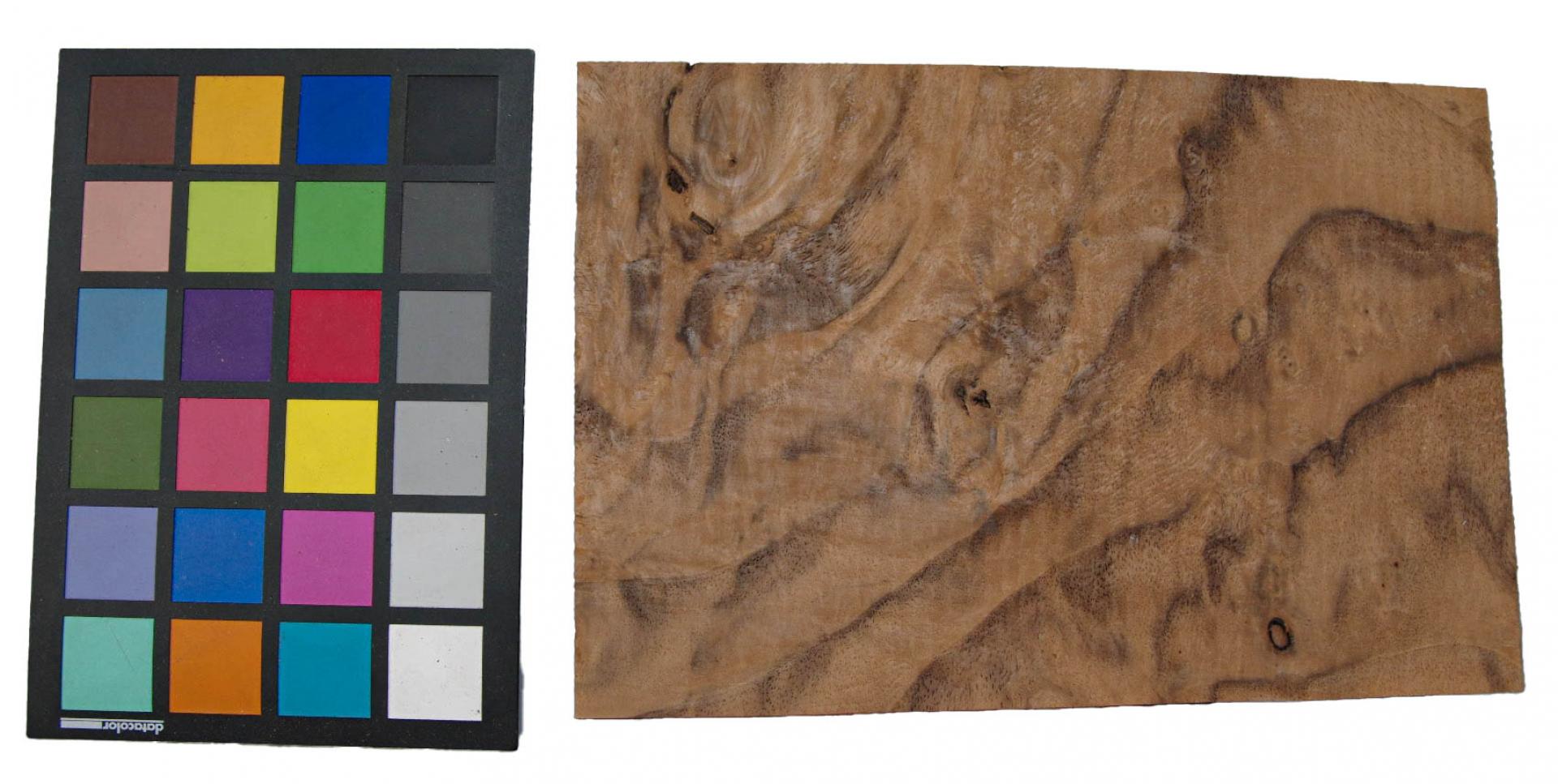 Californian Walnut Burl, - veneer (1,4mm) - 0,52m² (13pcs. x 16cm x 25cm)
