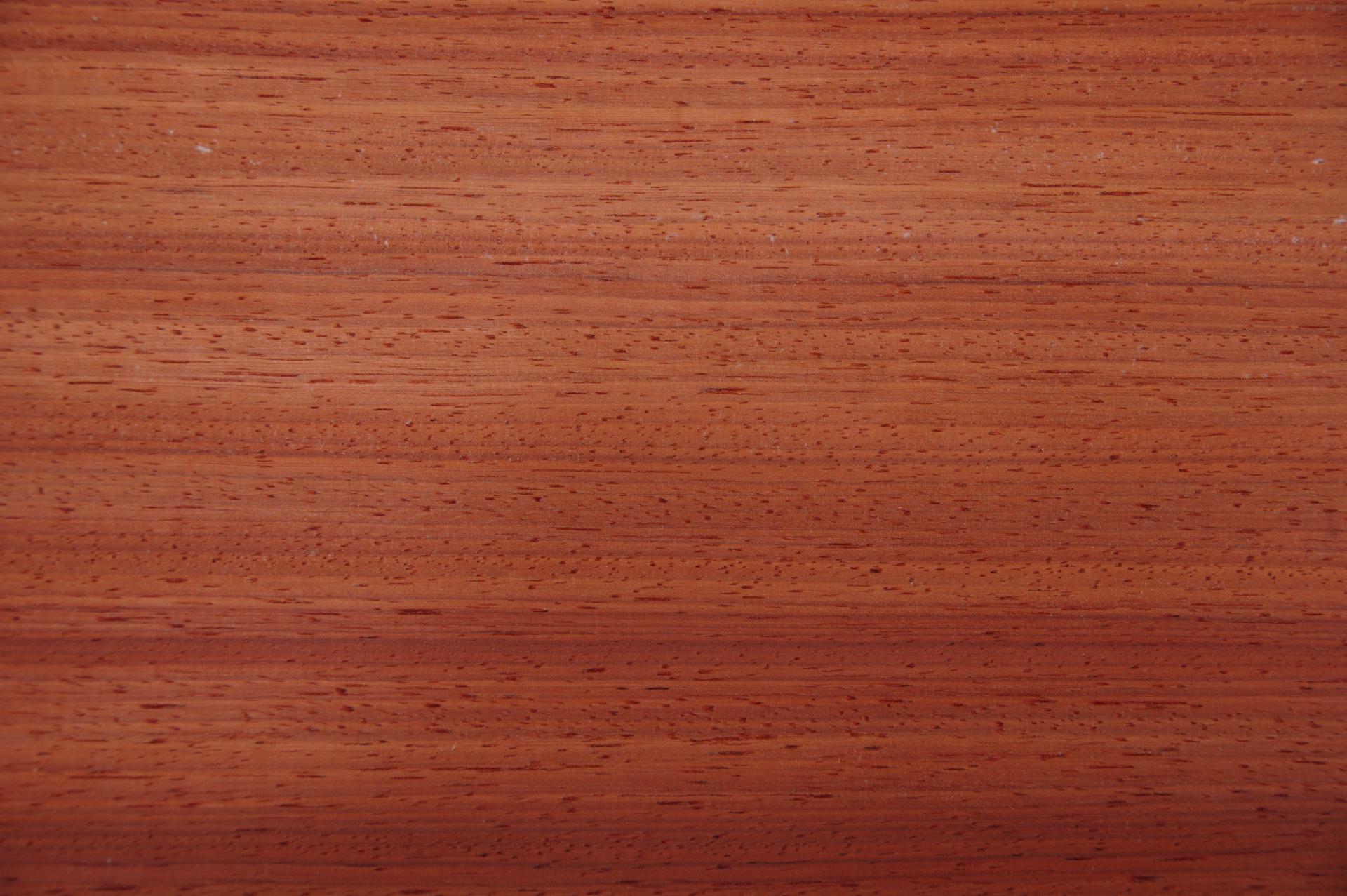 Padouk, - veneer (0,6mm) - 9,57m² (12pcs. x 301cm x 26,5cm)