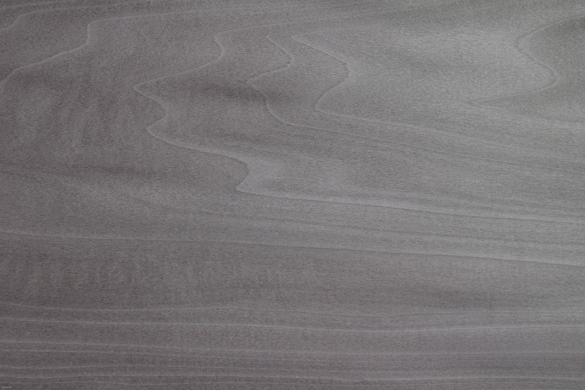 0,6mm Tulpenbaum silbergrau gefärbtes Furnier 0,24m² M 3 33 24