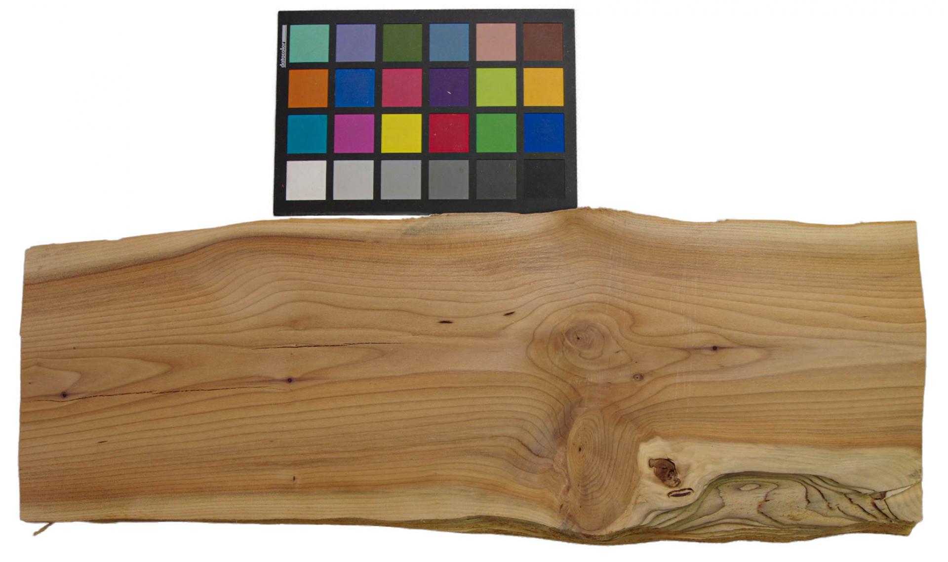 Yewtree, veneer with Colour reference card