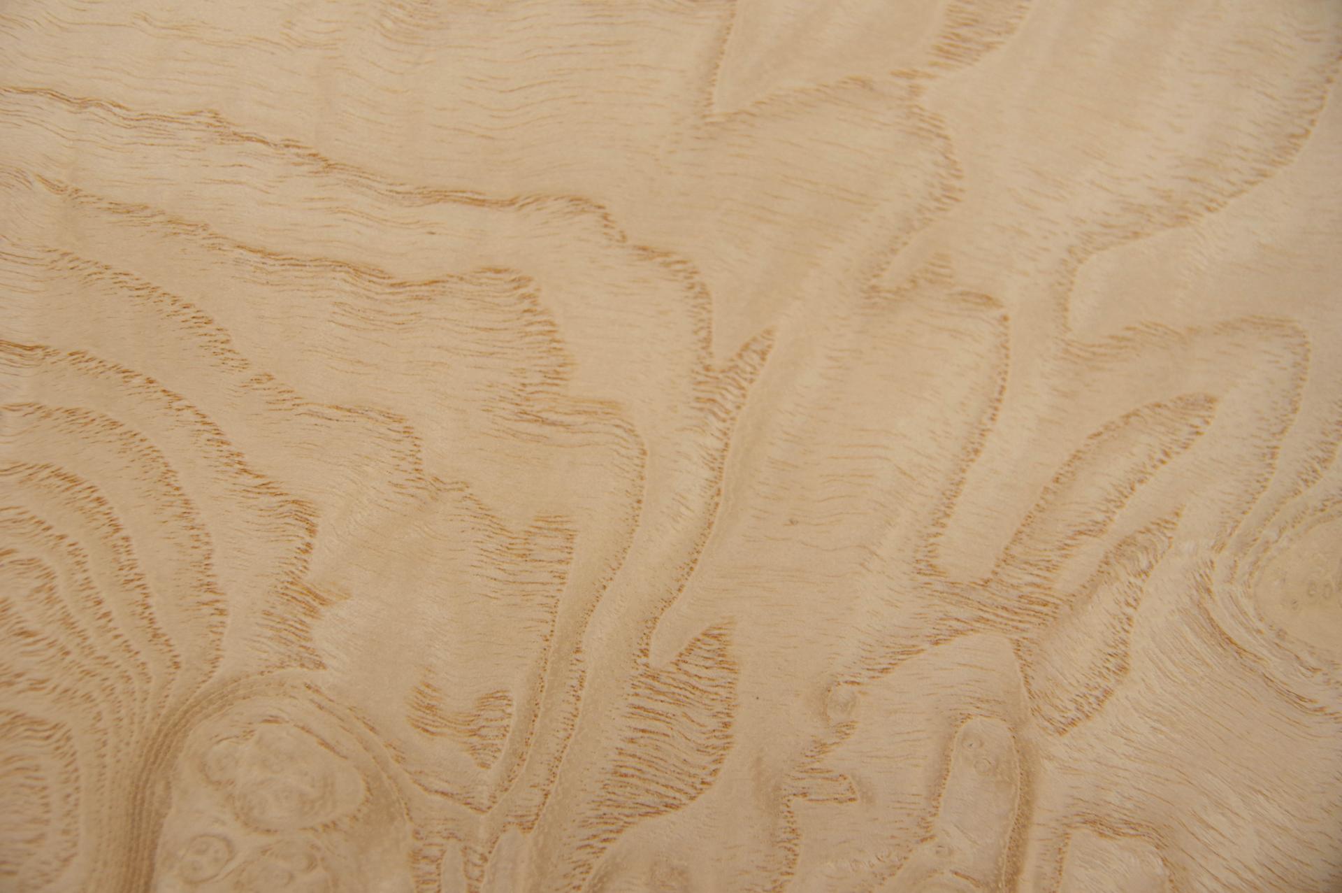 Esche Maser, weiß -Furnier (0,6mm) - 0,08m² (5Stk. x 13cm x 13cm)