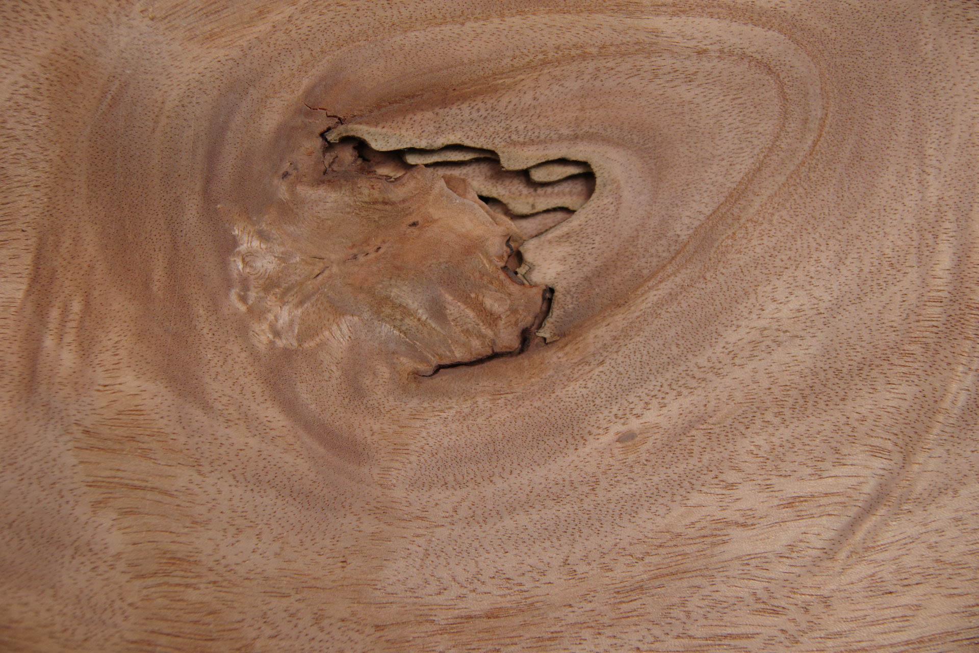 Gabon mahogany, okoumé, - veneer (0,6mm) - 1,39m² (28pcs. x 45cm x 11cm)