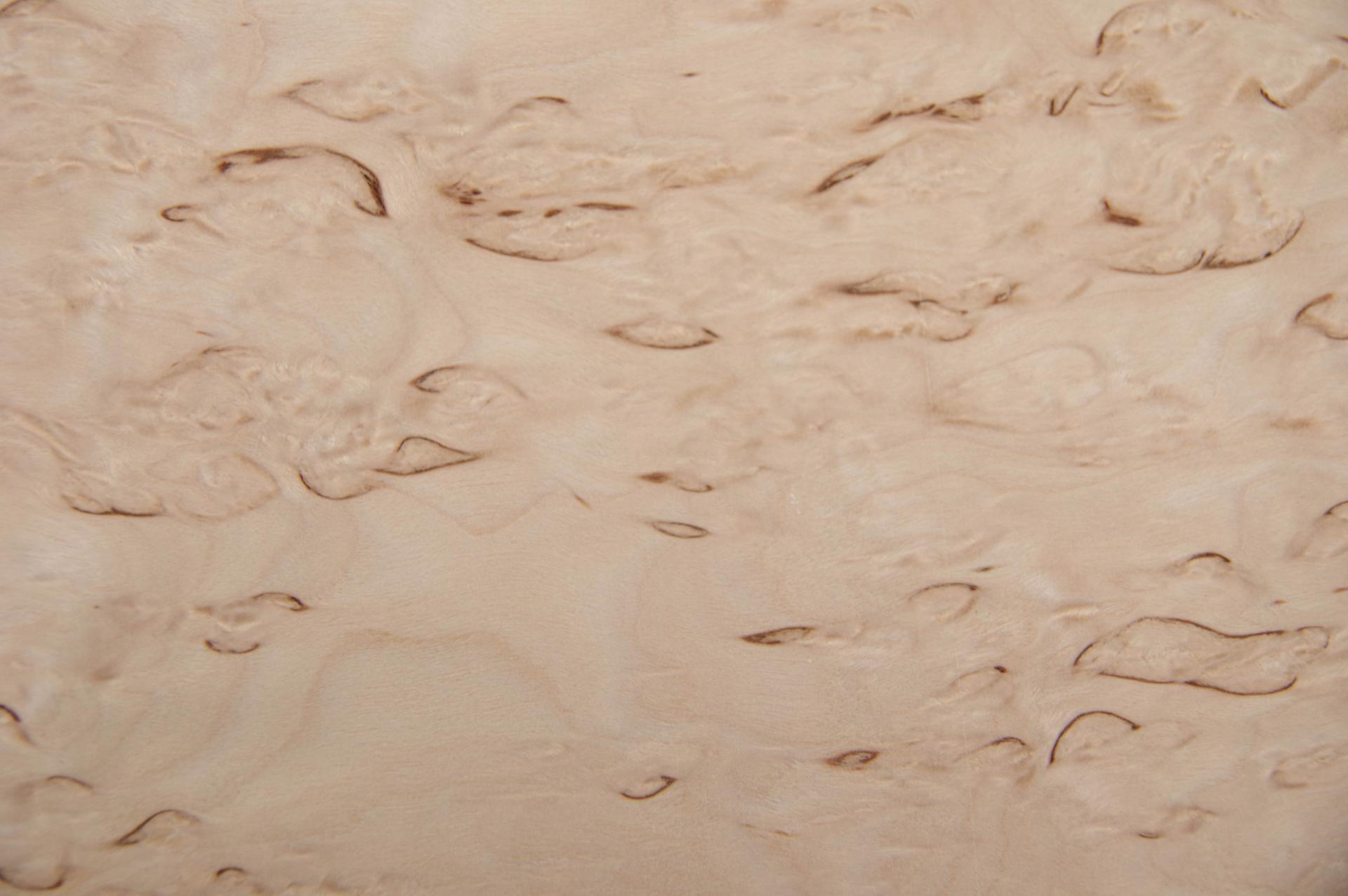 Birke Maser -Furnier (0,6mm) - 0,44m² (12Stk. x 33cm x 11cm)