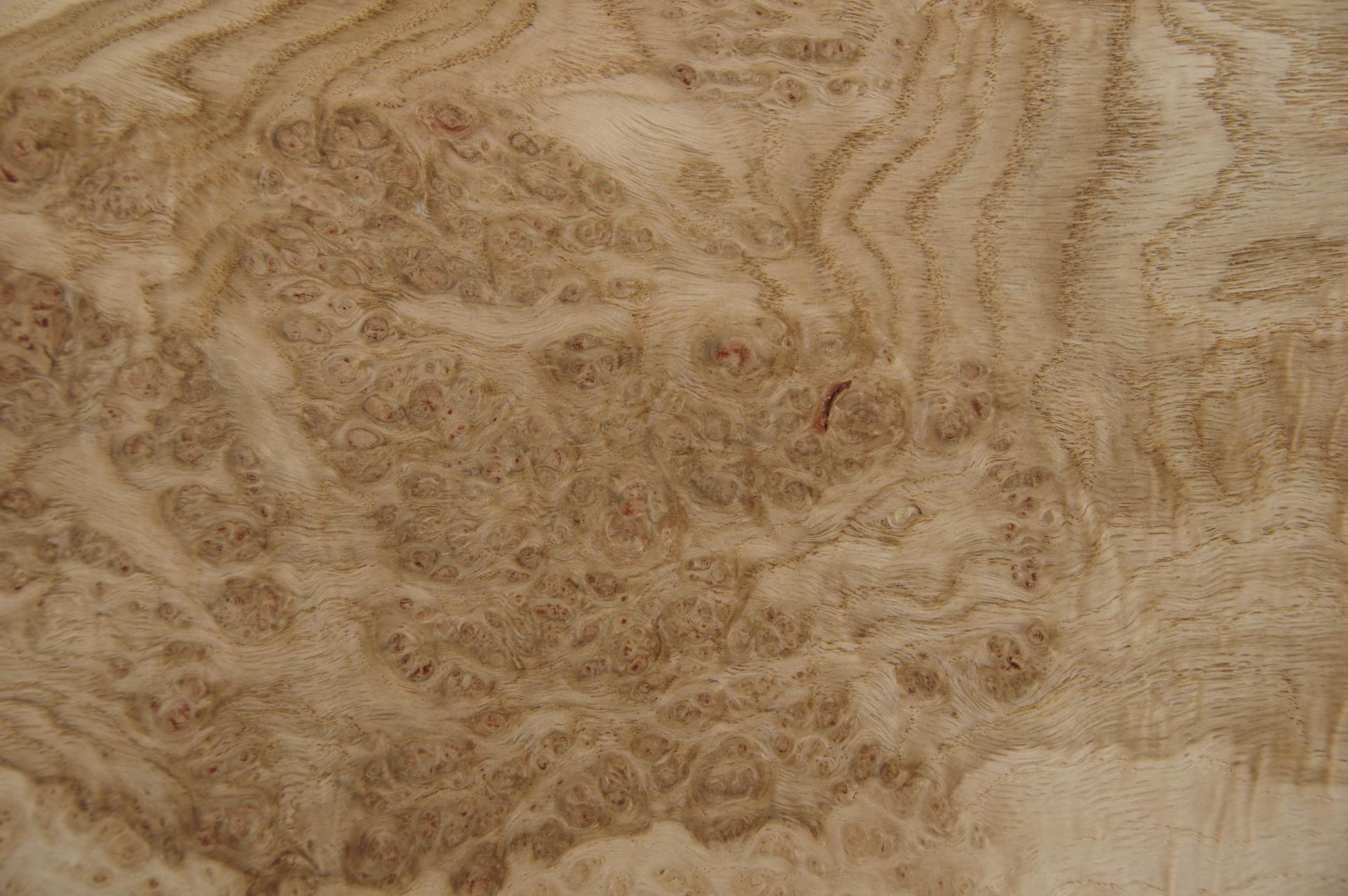 Oak Burl (Roseoak), - veneer (0,6mm) - 1,27m² (16pcs. x 44cm x 18cm)