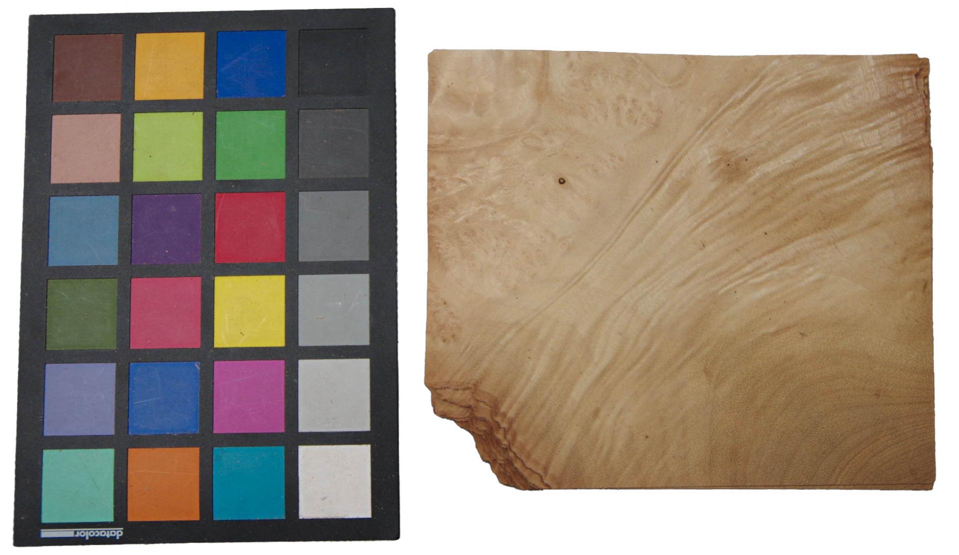 Myrtle Burl; Pepperwood; Laurel, - veneer (0,6mm) - 0,56m² (22pcs. x 17cm x 15cm)