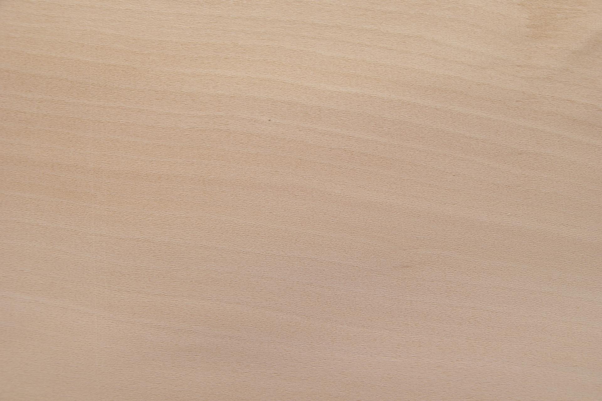 0.6mm Platane Furnier 5.38m² N 24 118 19