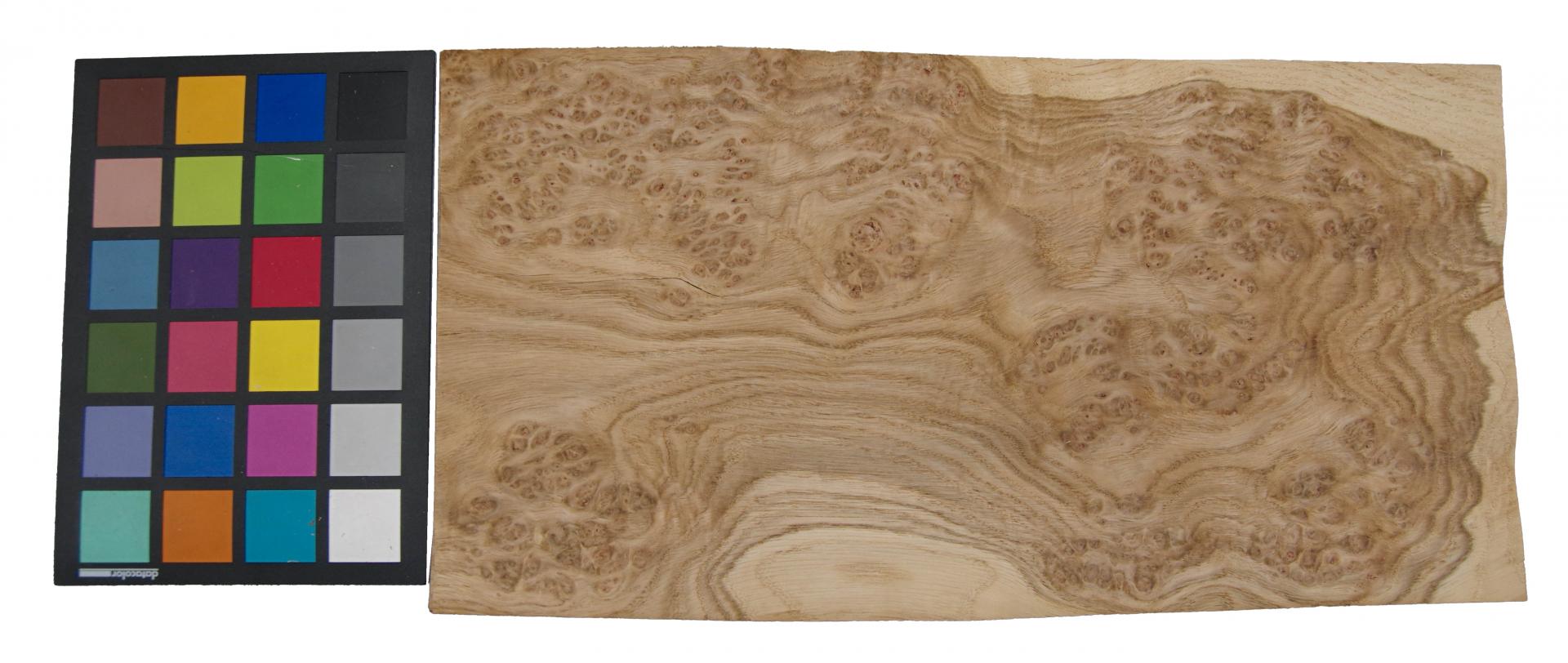 Eiche, Maser (Roseneiche) -Furnier (0,6mm) - 0,65m² (9Stk. x 38cm x 19cm)