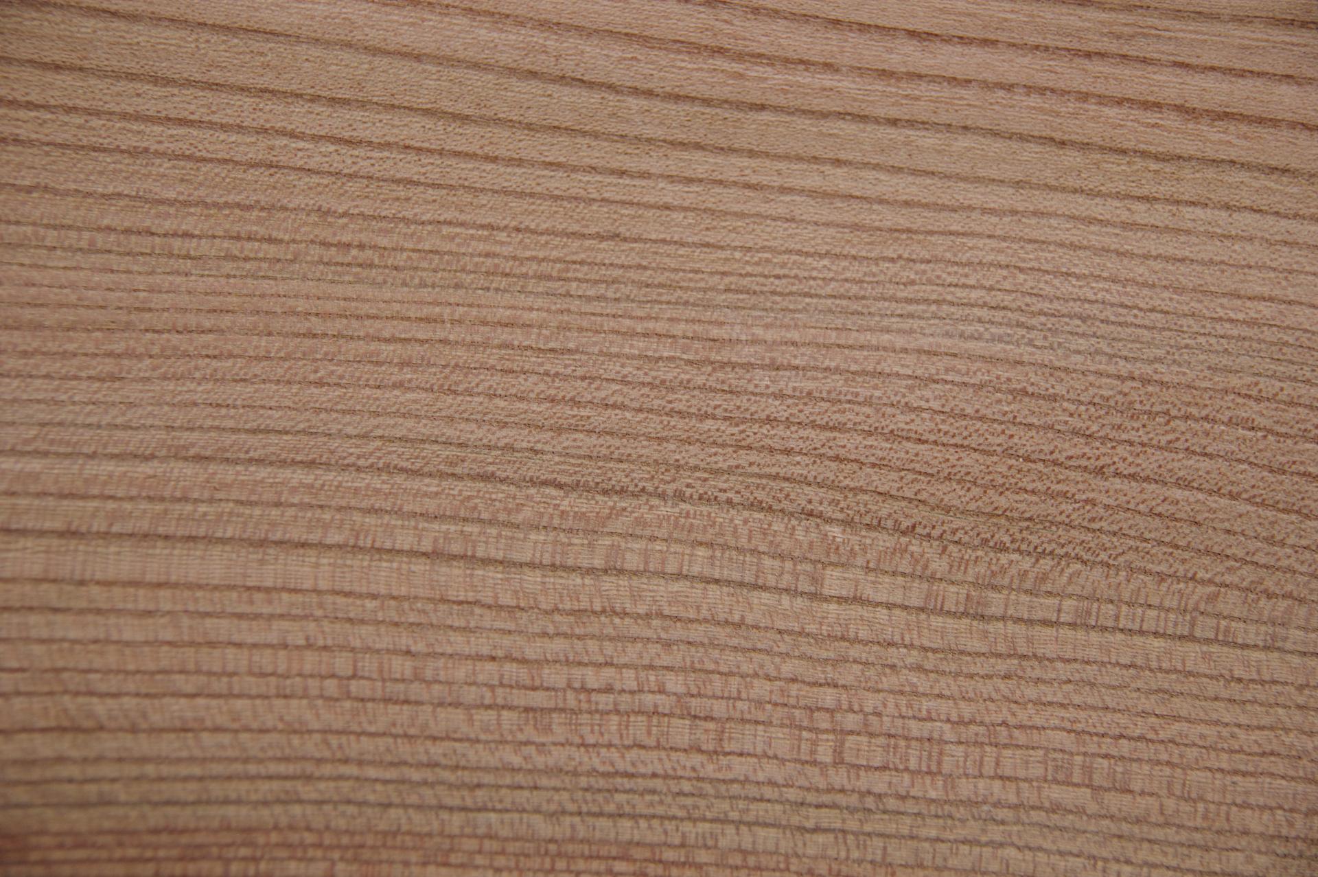 Rüster (Ulme) -Furnier (0,6mm) - 0,53m² (20Stk. x 19cm x 14cm)