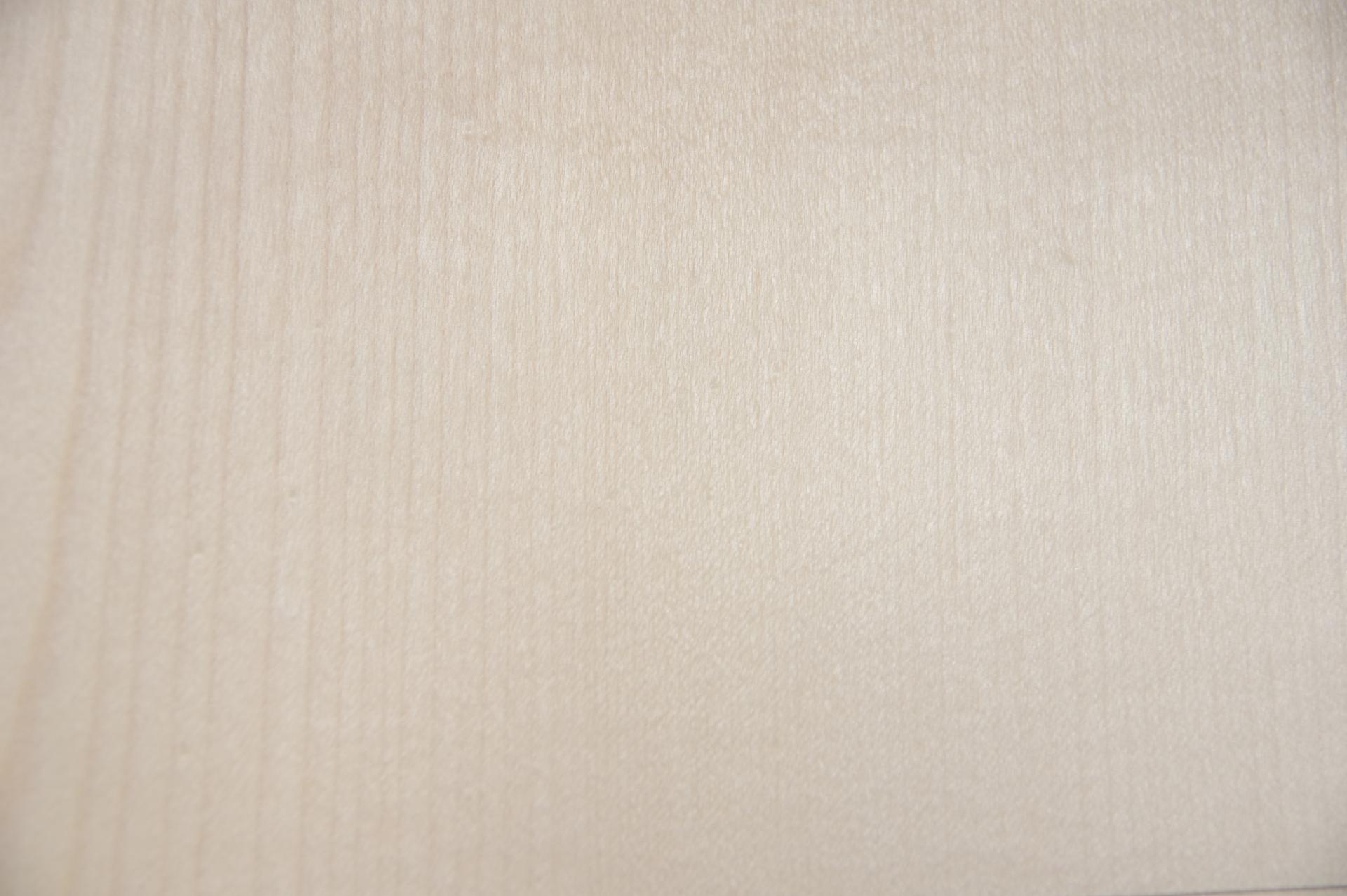 Ahorn, europäischer -Furnier (0,6mm) - 0,61m² (30Stk. x 11cm x 18,5cm)