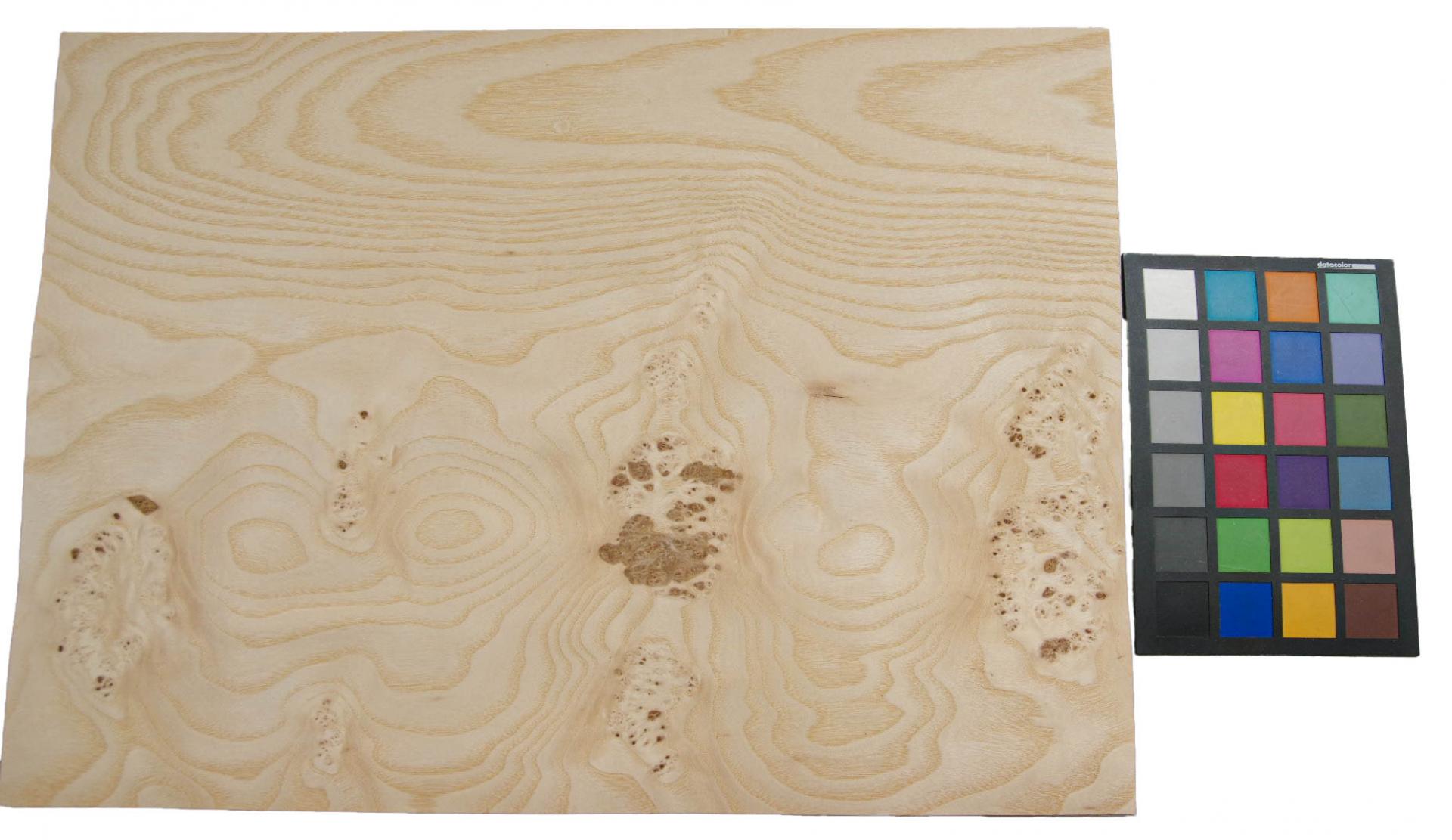 Esche Maser; oliv -Furnier (0,6mm) - 1,15m² (6Stk. x 52cm x 37cm)