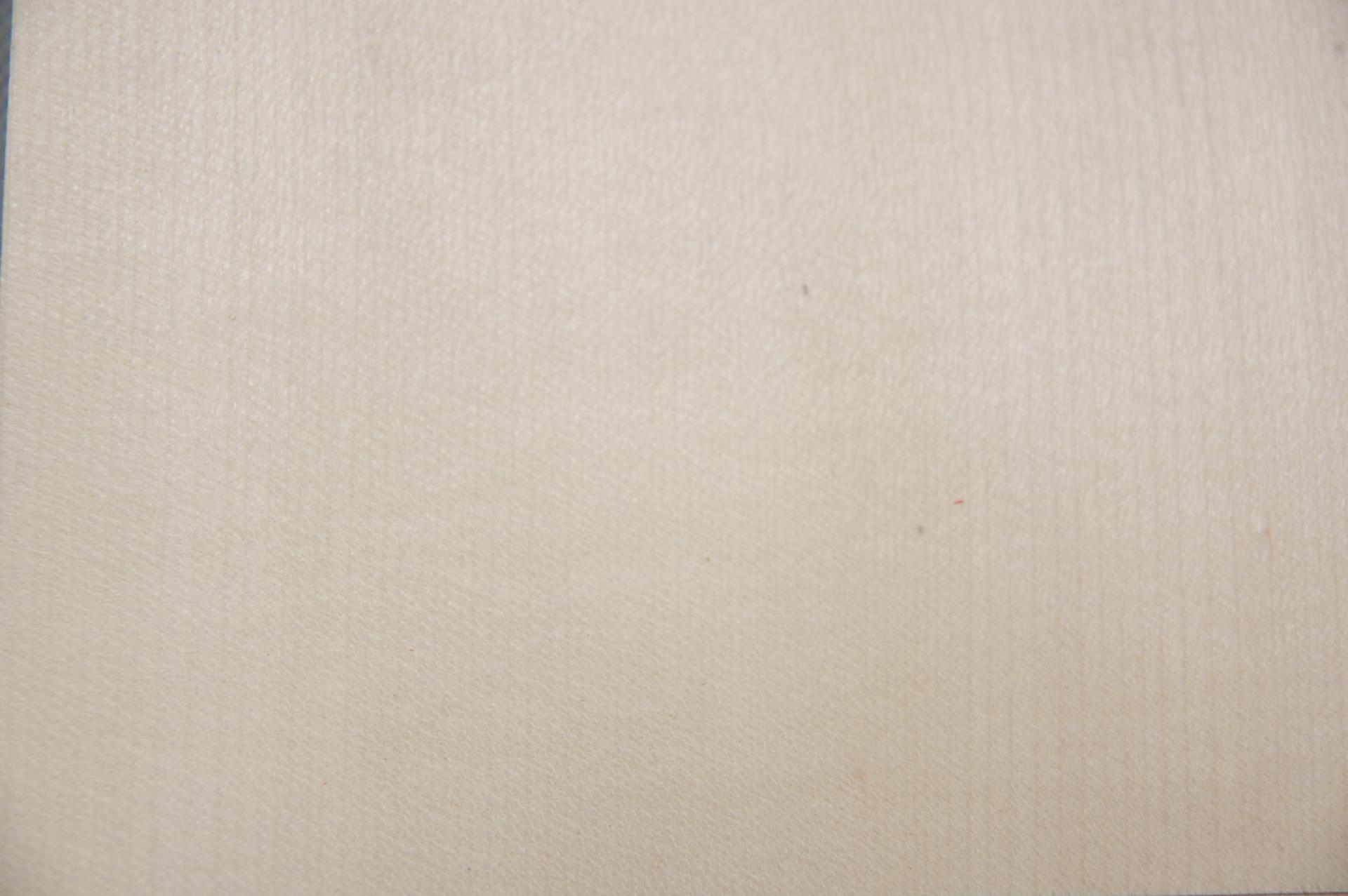 Ahorn, europäischer -Furnier (0,6mm) - 0,48m² (32Stk. x 10cm x 15cm)