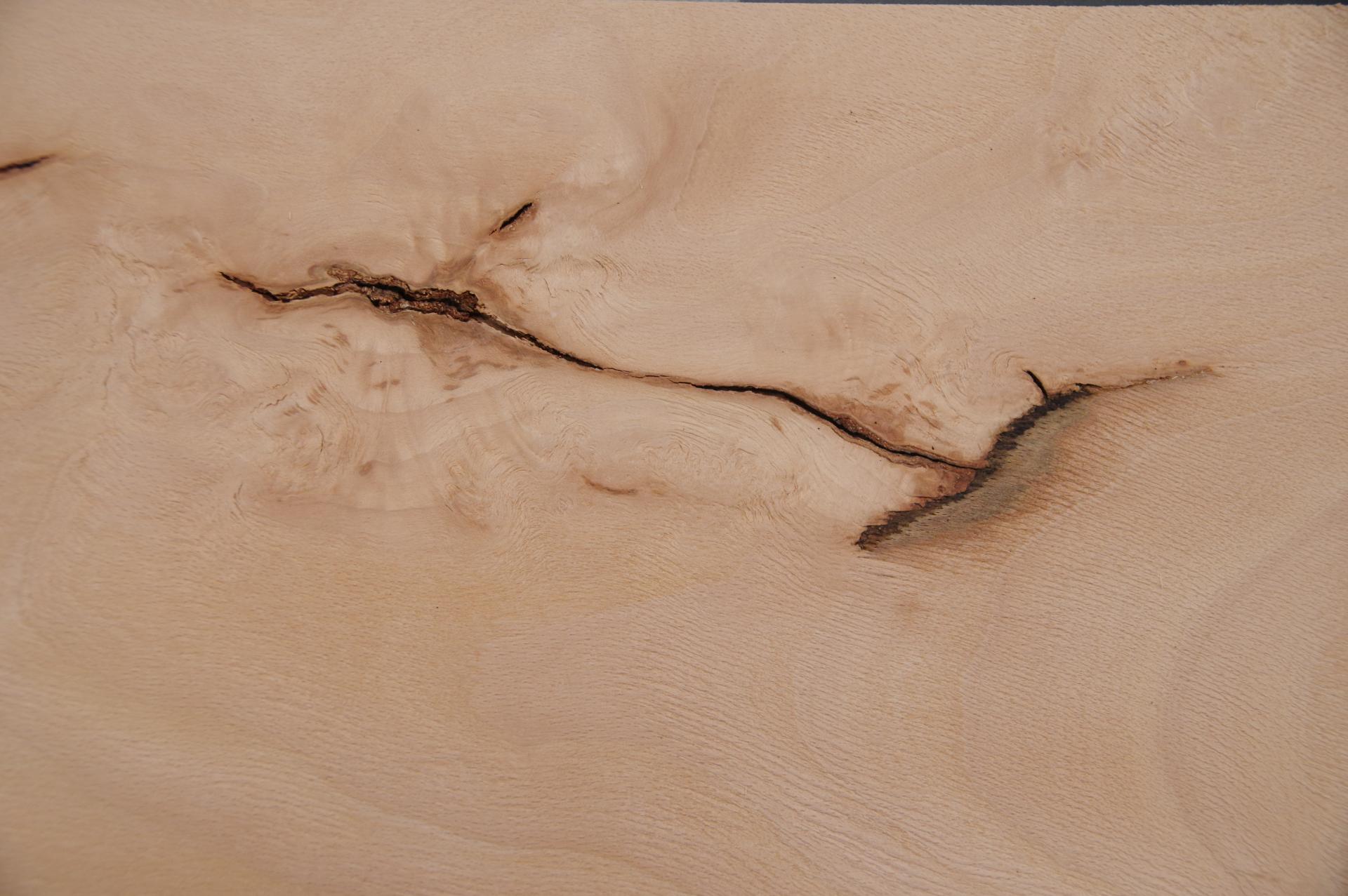 Buche -Furnier (2,4mm) - 1,12m² (8Stk. x 70cm x 20cm)