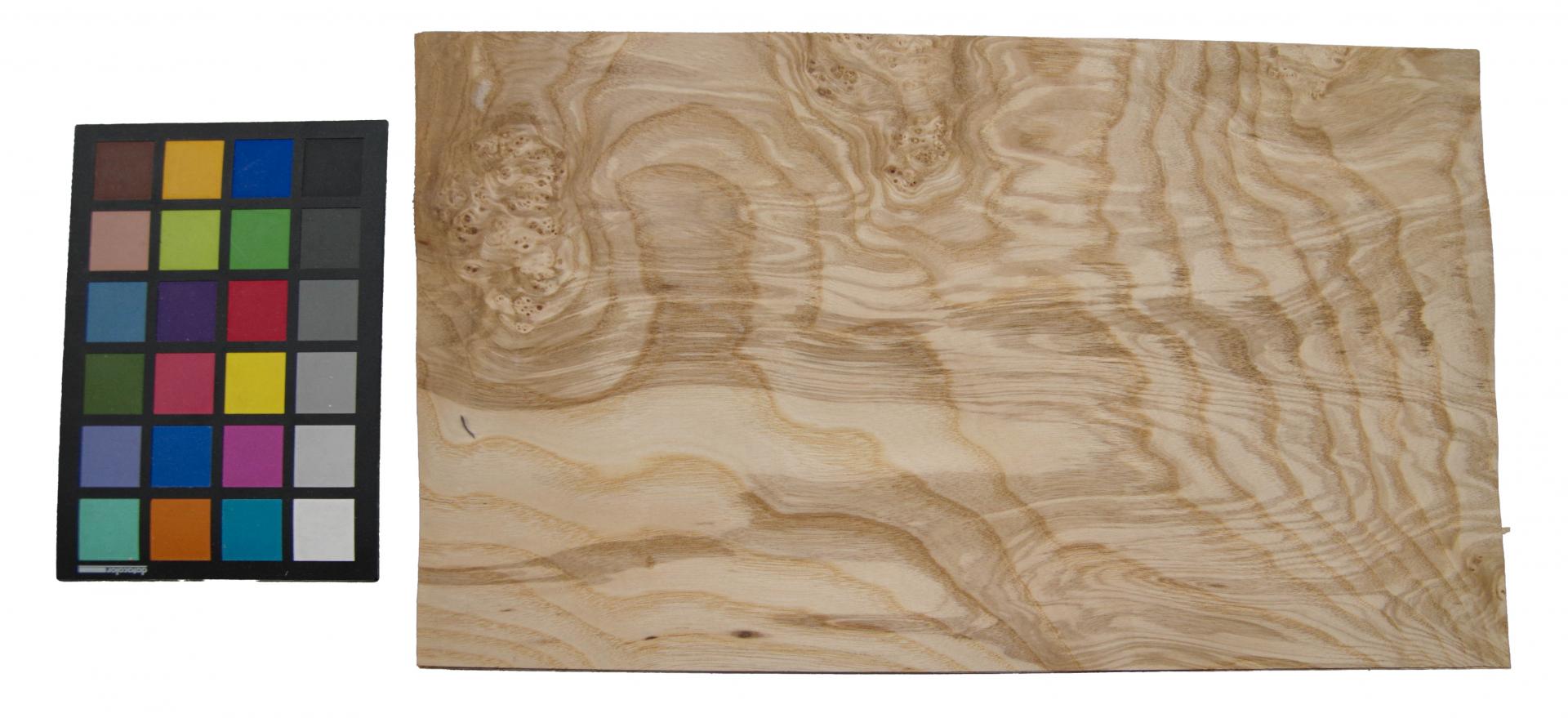 Esche Maser; oliv -Furnier (0,6mm) - 1,64m² (14Stk. x 45cm x 26cm)