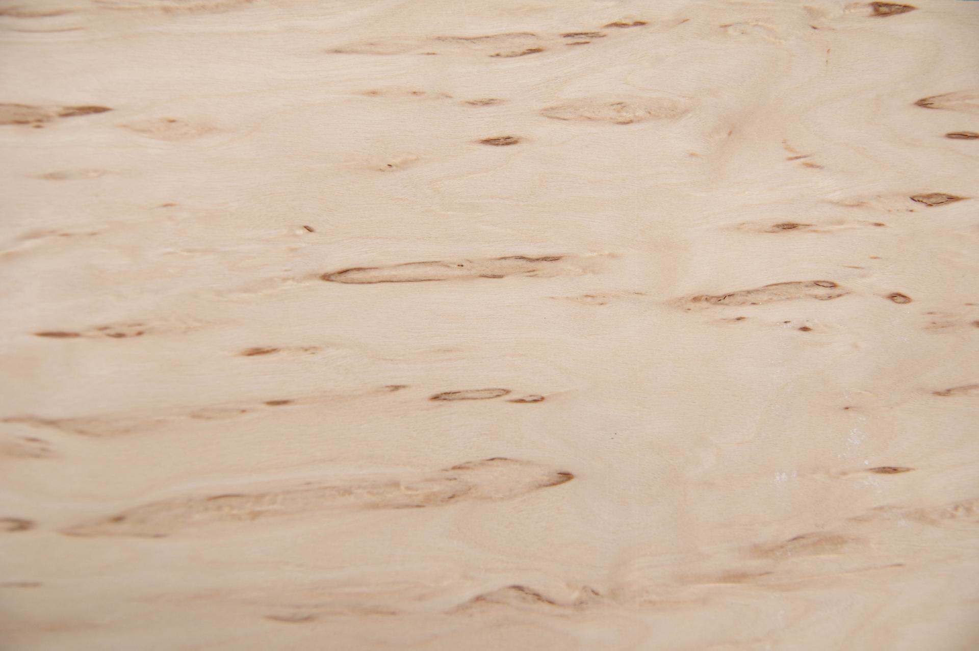 Birke Maser -Furnier (0,6mm) - 0,14m² (6Stk. x 21cm x 11cm)