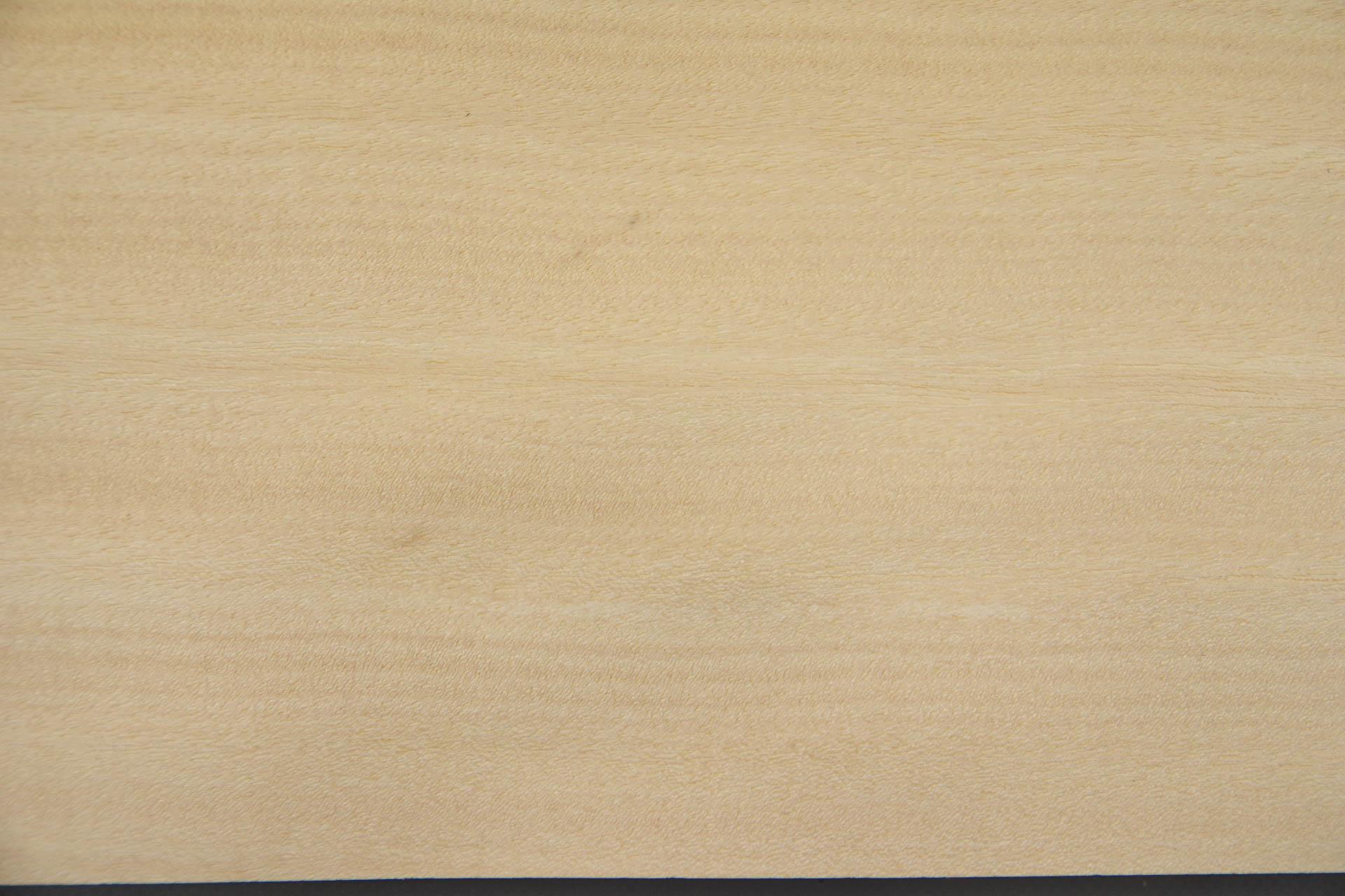 Chen Chen, veneer with Colour reference card