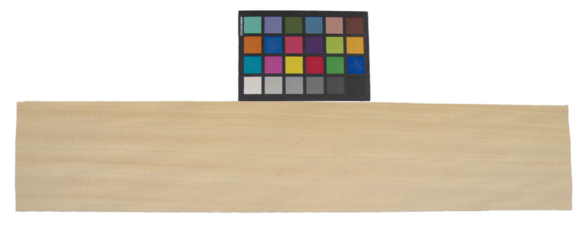 Chen Chen, veneer with Colour reference card