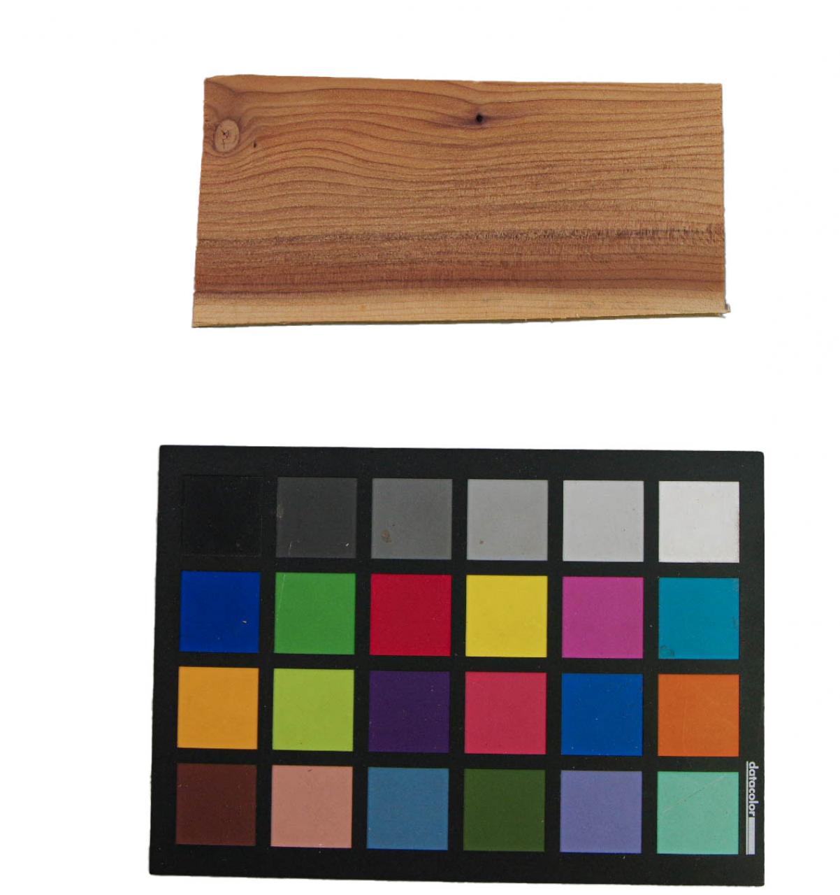 Yewtree, veneer with Colour reference card