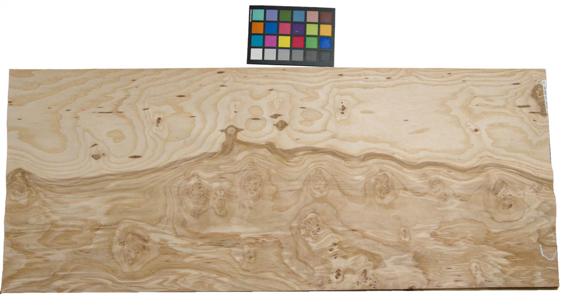 Esche Maser; oliv -Furnier (0,6mm) - 8,87m² (16Stk. x 118cm x 47cm)