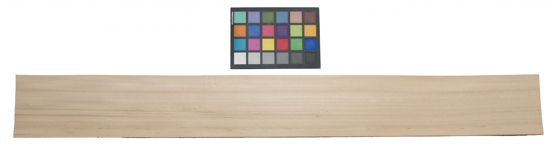 Rüster, amerikanische -Furnier (0,6mm) - 3,46m² (24Stk. x 111cm x 13cm)