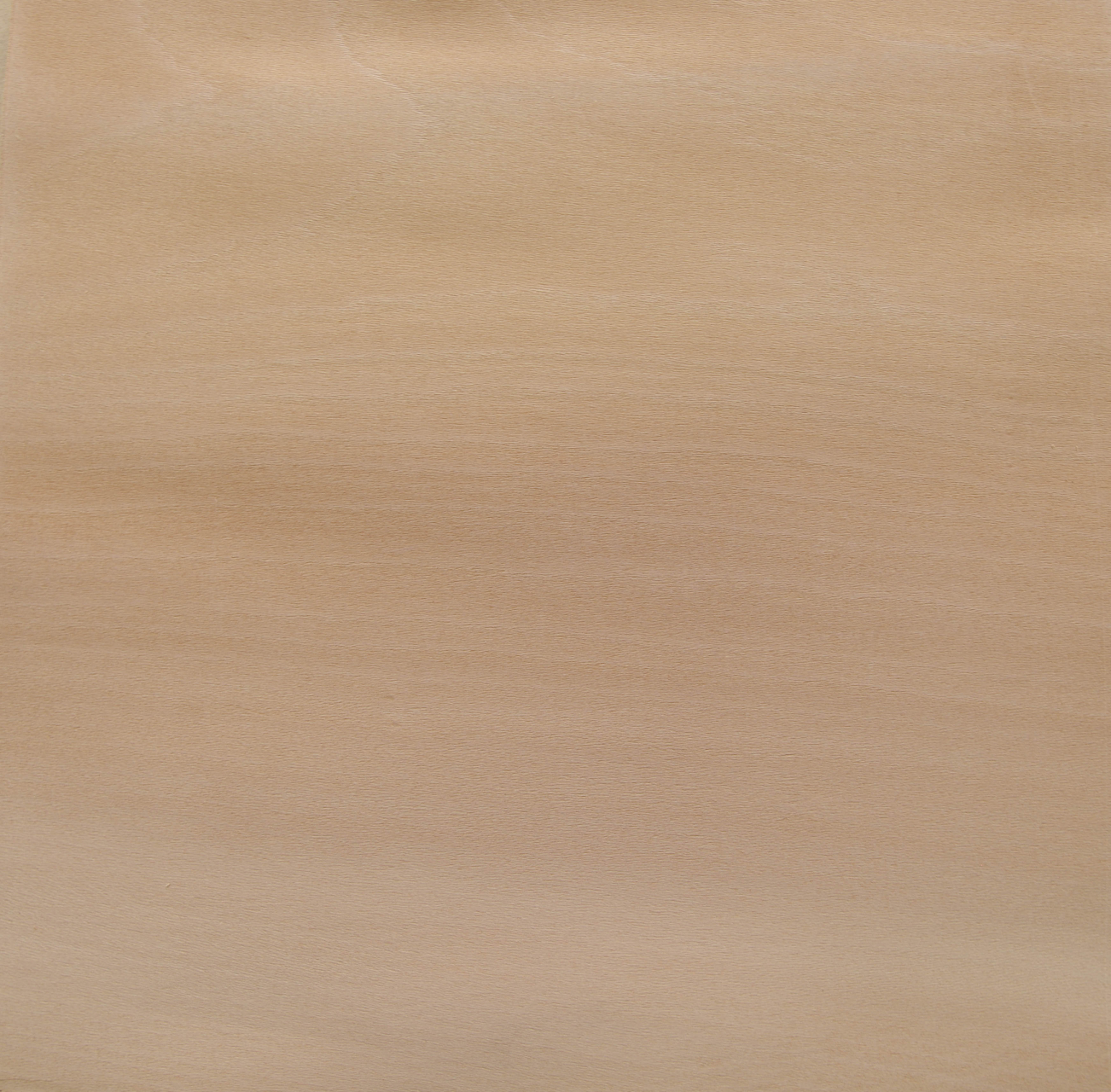 0.6mm Platane Furnier 1.48m² R 17 30 29