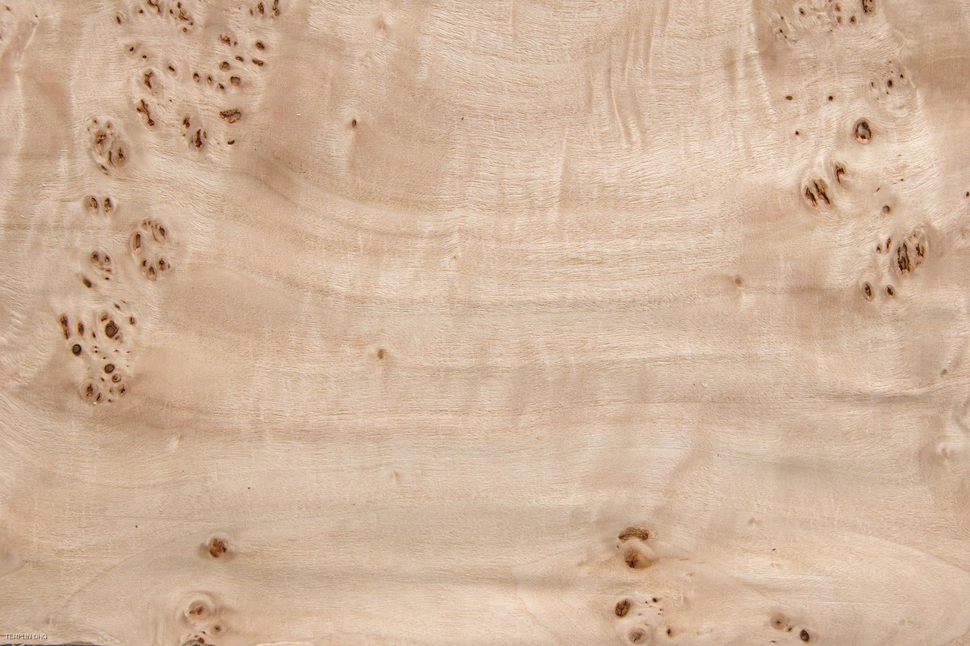 0,6mm Pappel Maser (Mapa Burl) Furnier 1,25m² S 24 29 18