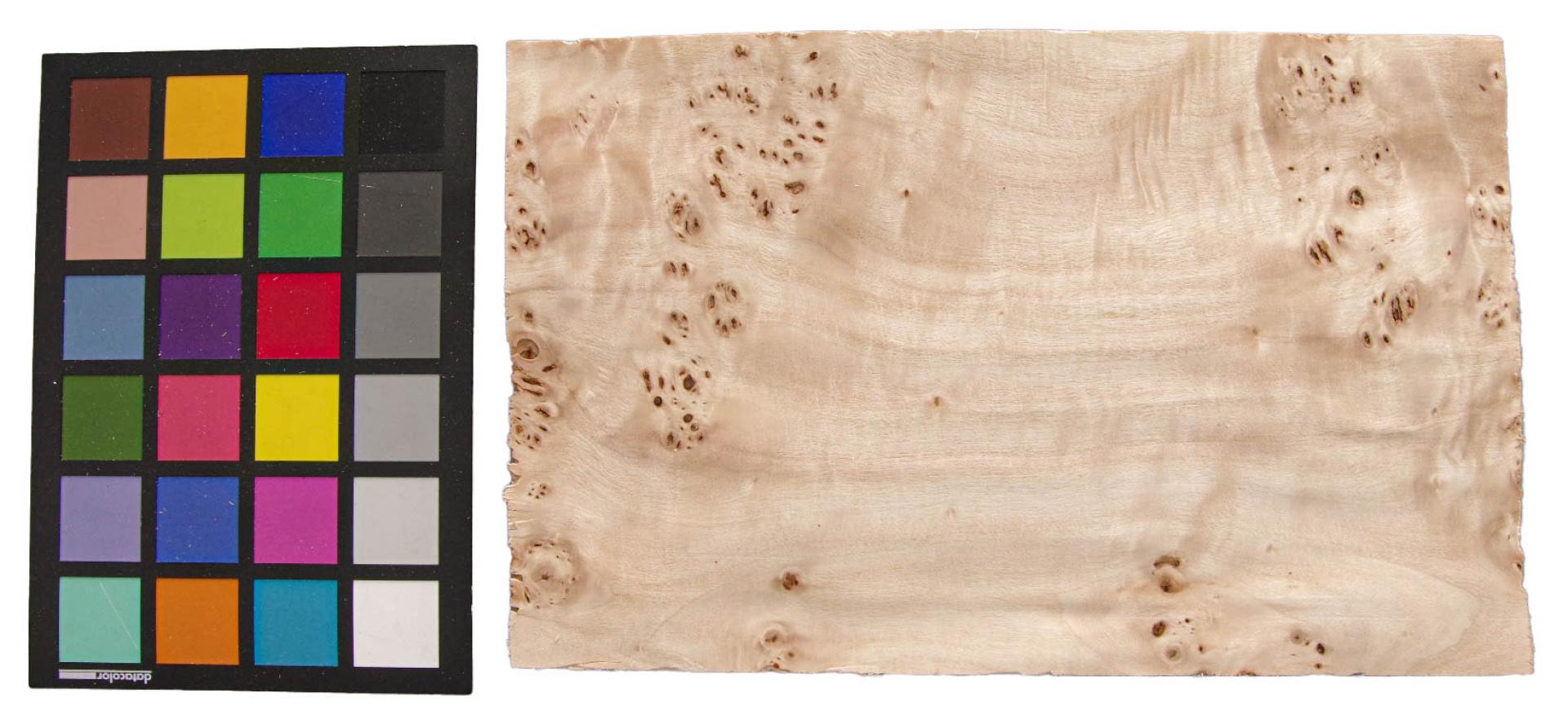 0,6mm Pappel Maser (Mapa Burl) Furnier 1,25m² S 24 29 18