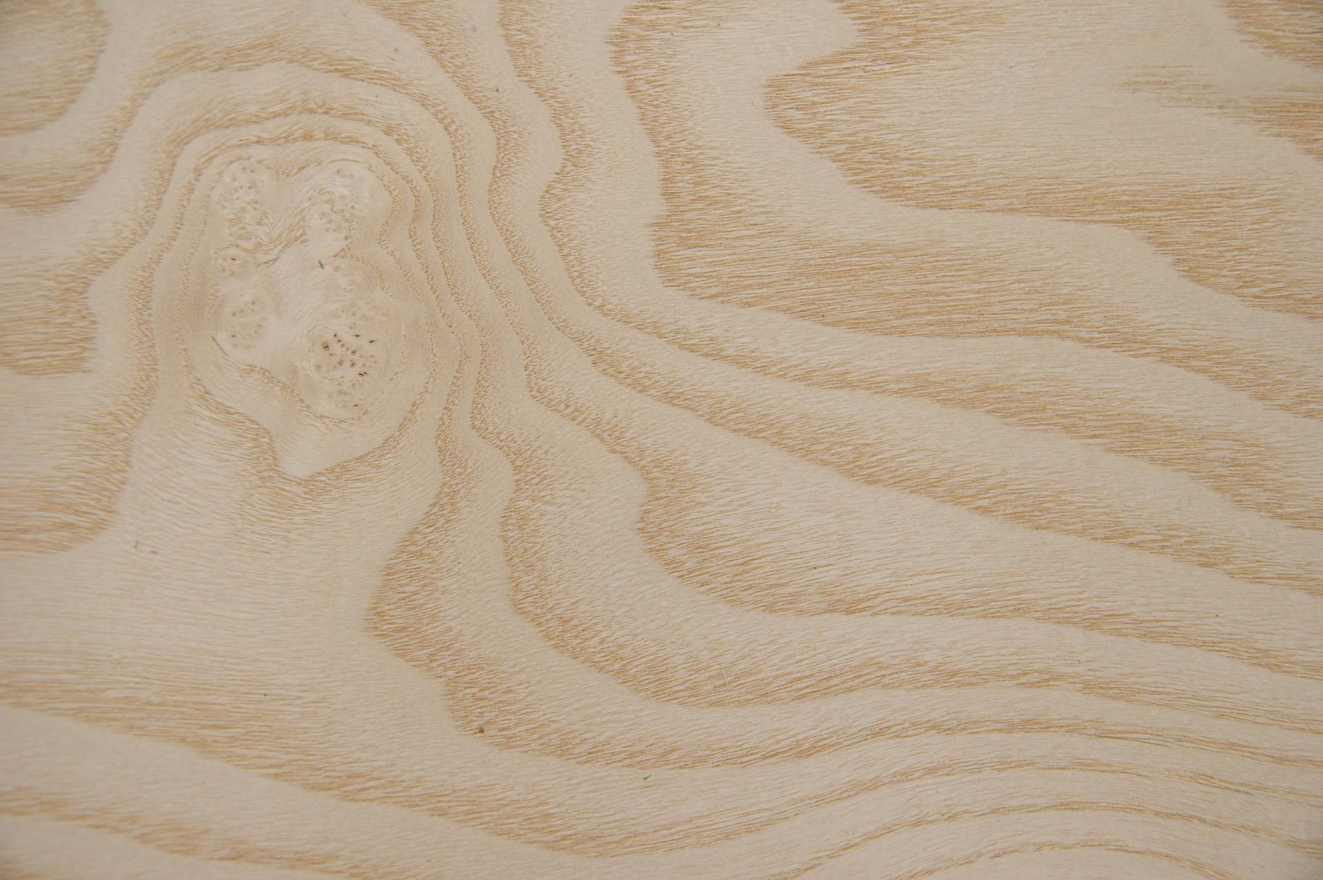 White Ash Burl, - veneer (0,6mm) - 0,89m² (6pcs. x 53cm x 28cm)