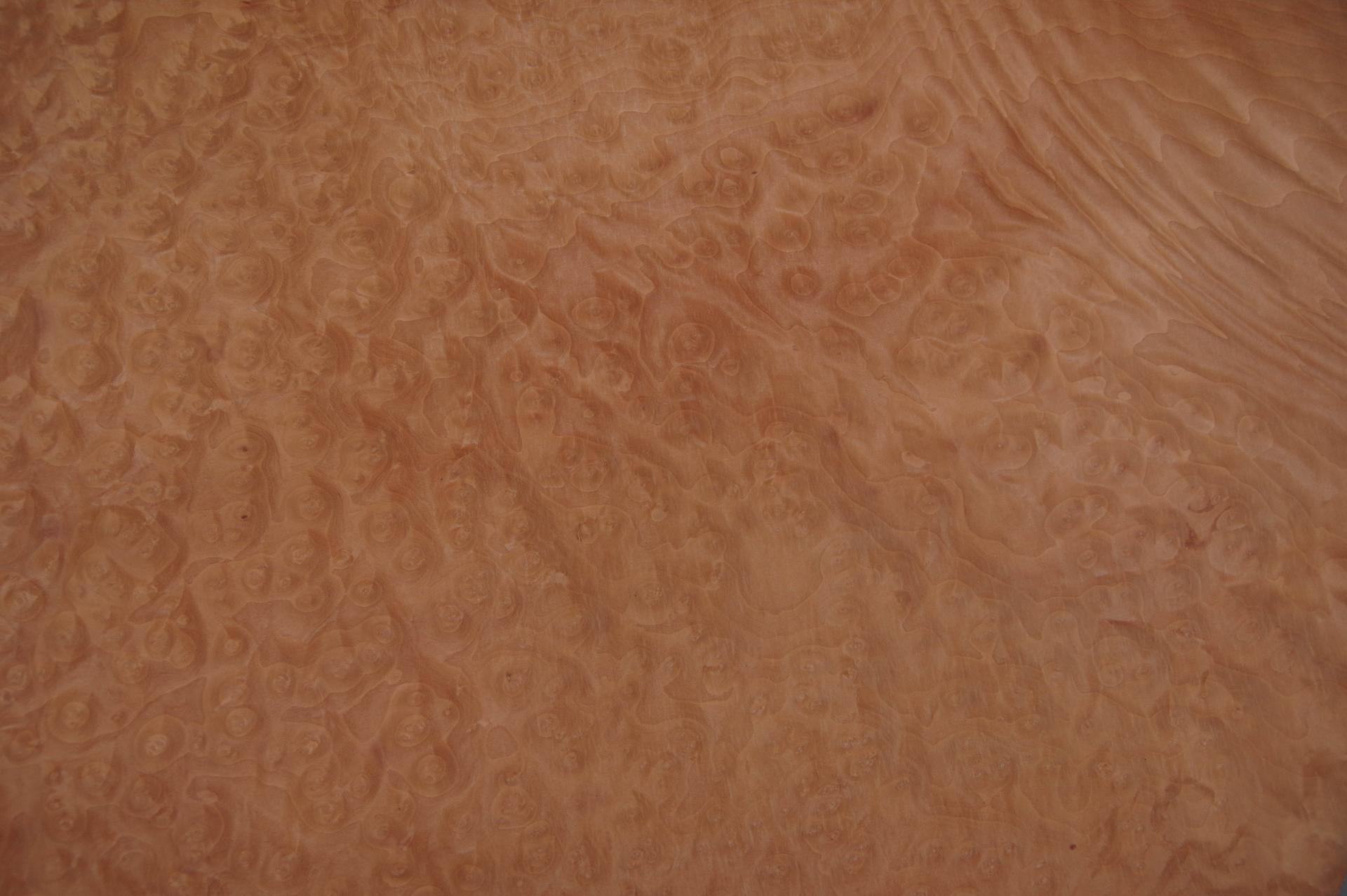 Madrona Maser -Furnier (0,6mm) - 6,55m² (24Stk. x 65cm x 42cm)