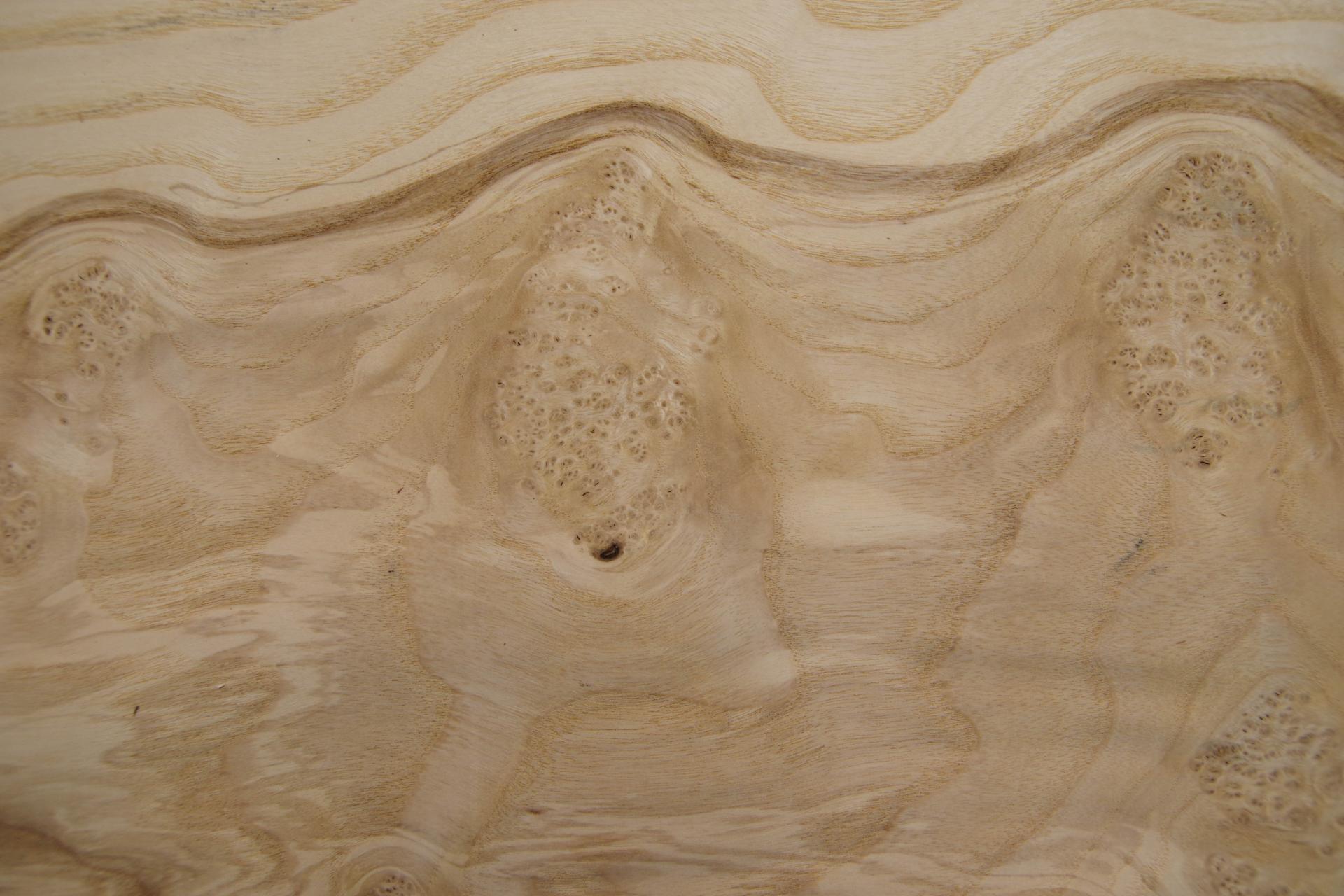 Olive Ash Burl, - veneer (0,6mm) - 2.78m² (11pcs. x 46cm x 55cm)