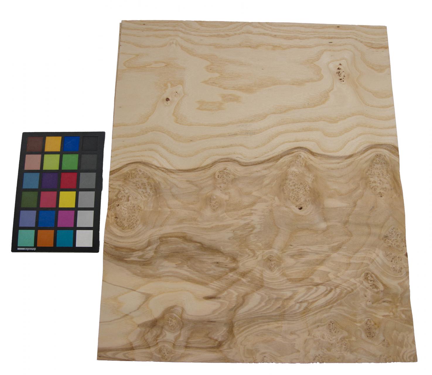 Olive Ash Burl, - veneer (0,6mm) - 2.78m² (11pcs. x 46cm x 55cm)