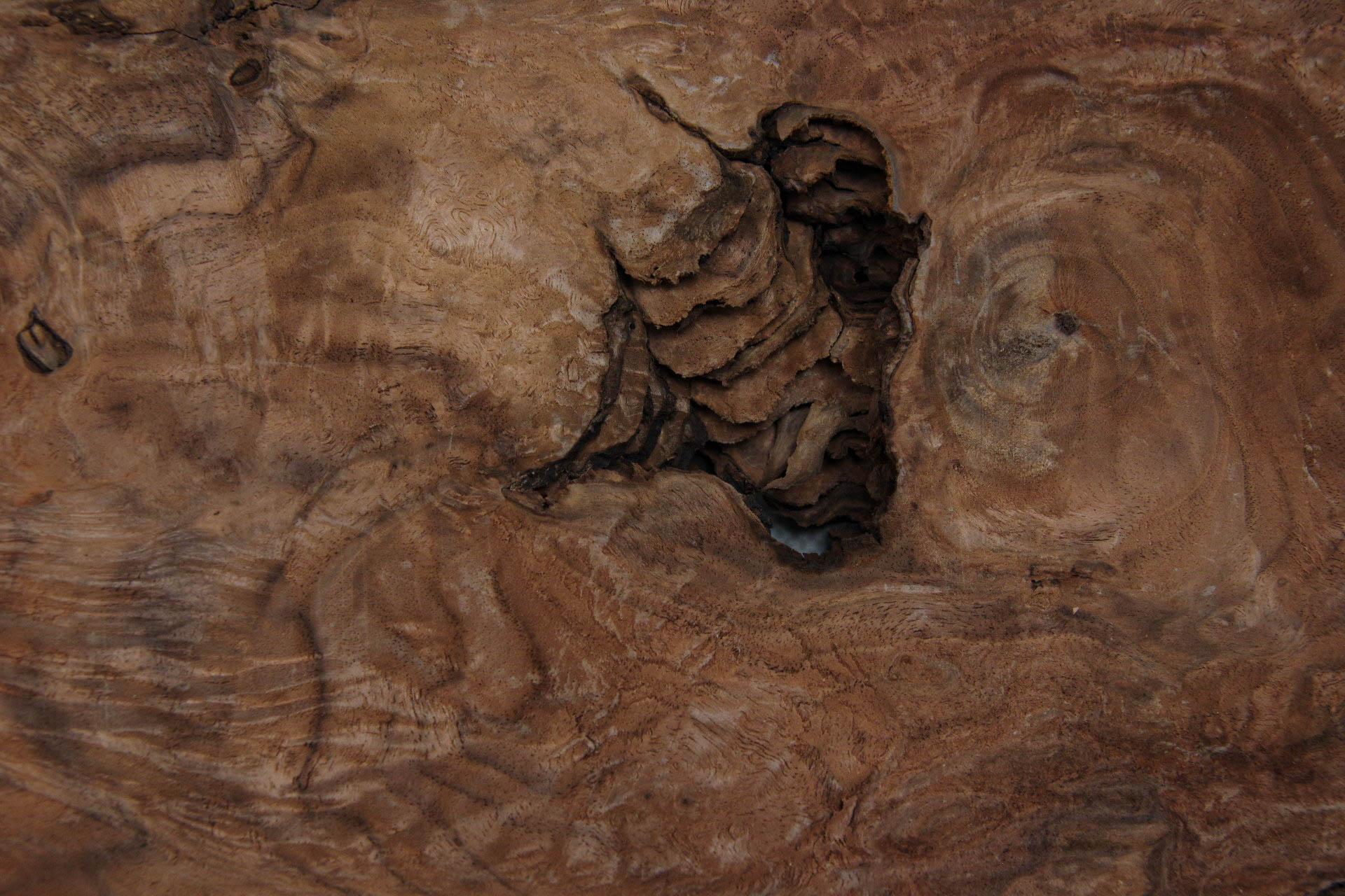 Californian Walnut Burl, - veneer (1,8mm) - 0,34m² (8pcs. x 25cm x 17cm)