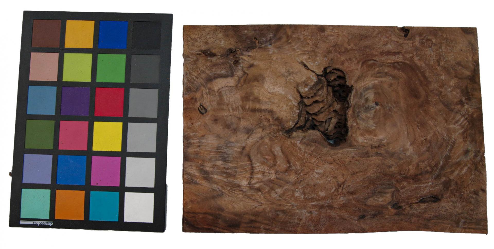 Californian Walnut Burl, - veneer (1,8mm) - 0,34m² (8pcs. x 25cm x 17cm)