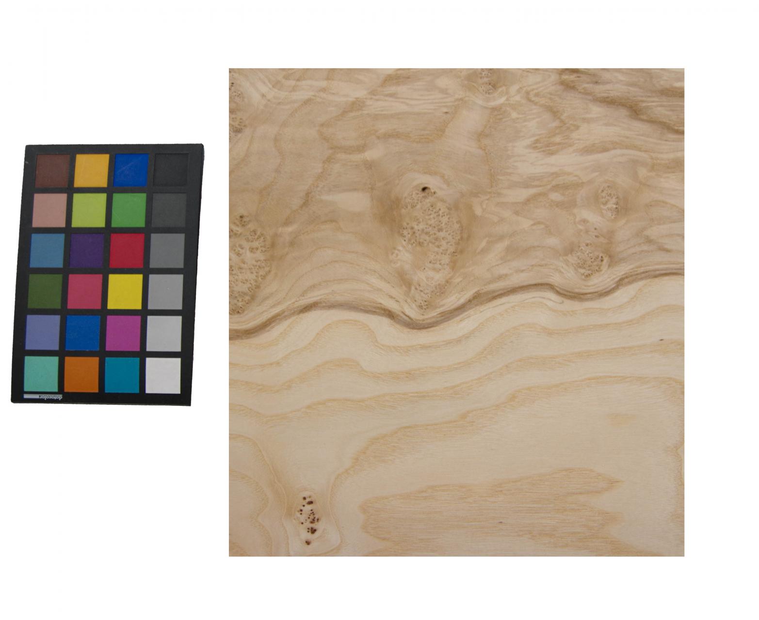 Esche Maser; oliv -Furnier (0,6mm) - 0,39m² (3Stk. x 36cm x 36cm)