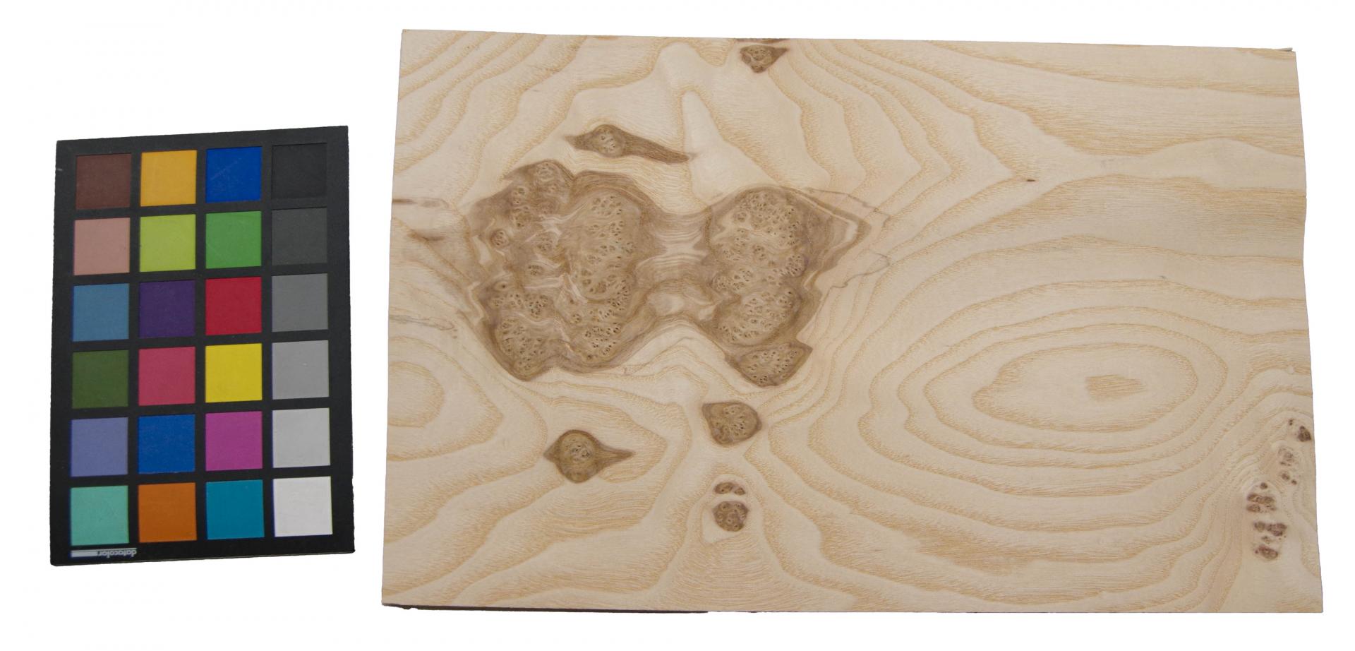 Esche Maser; oliv -Furnier (0,6mm) - 1,28m² (12Stk. x 41cm x 26cm)
