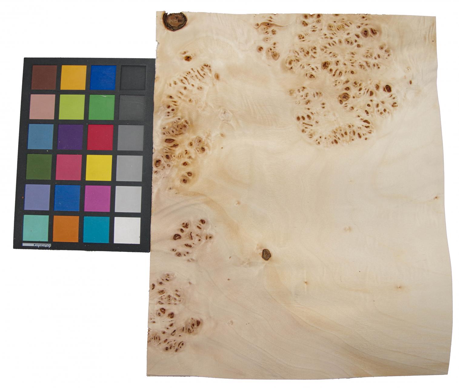 Pappel Maser (Mapa) -Furnier (0,6mm) - 1,76m² (18Stk. x 28cm x 35cm)