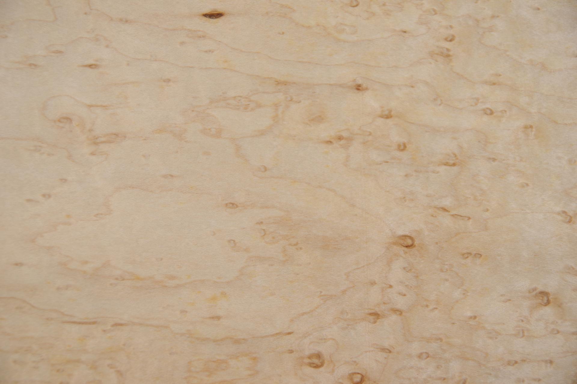 Vogelaugenahorn -Furnier (0,6mm) - 2,46m² (9Stk. x 156cm x 17,5cm)